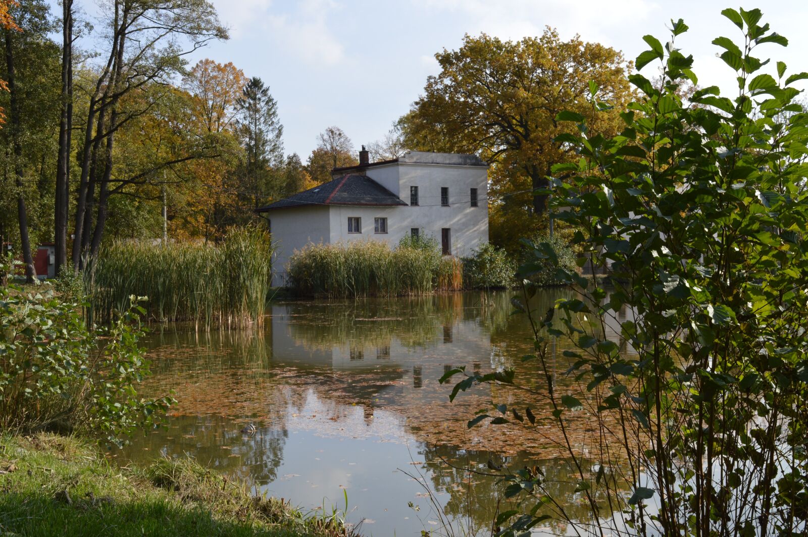 Nikon D3200 sample photo. Autumn, water, nature photography