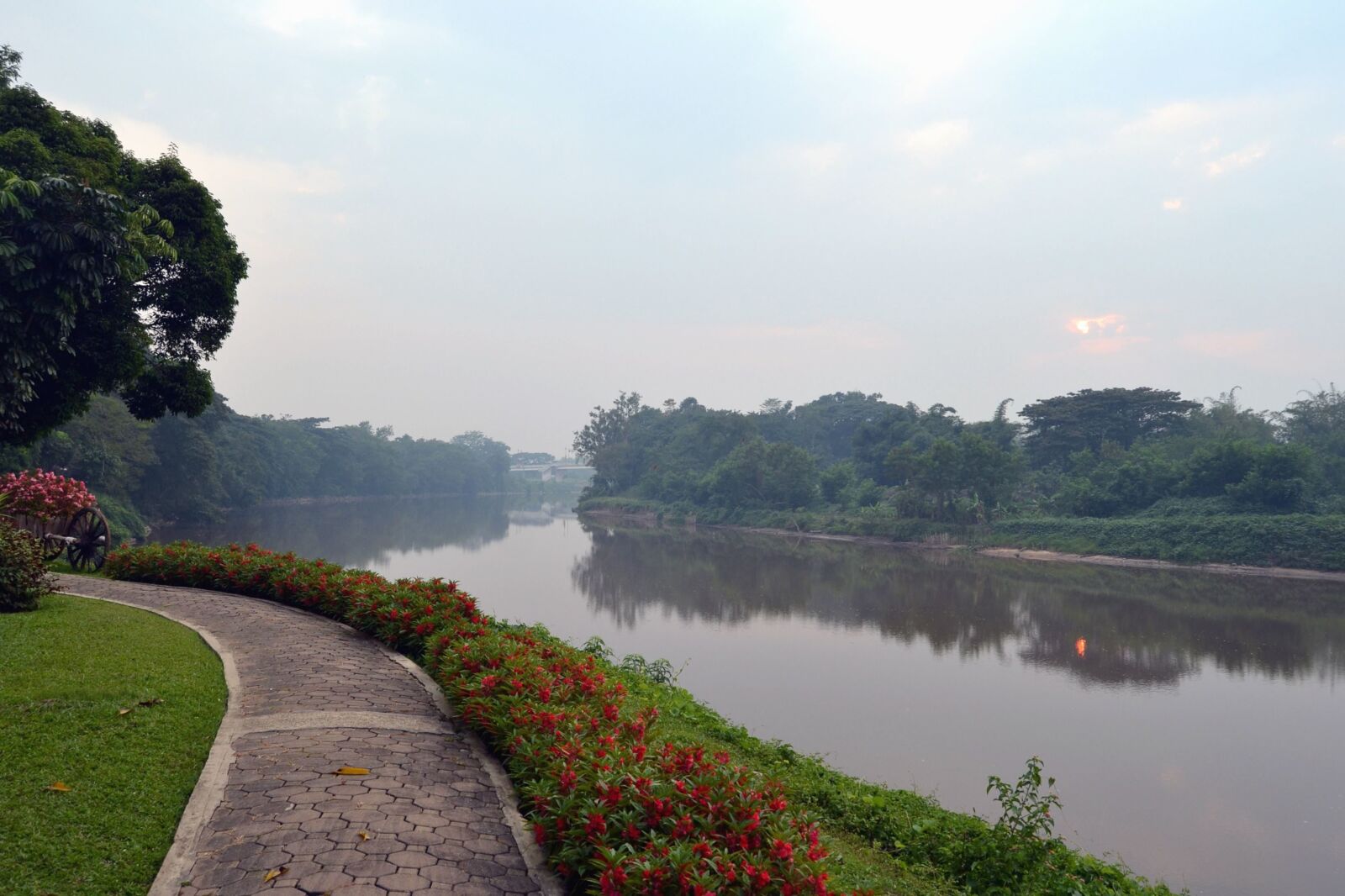 Nikon D3100 sample photo. River, coast, forests, flower photography