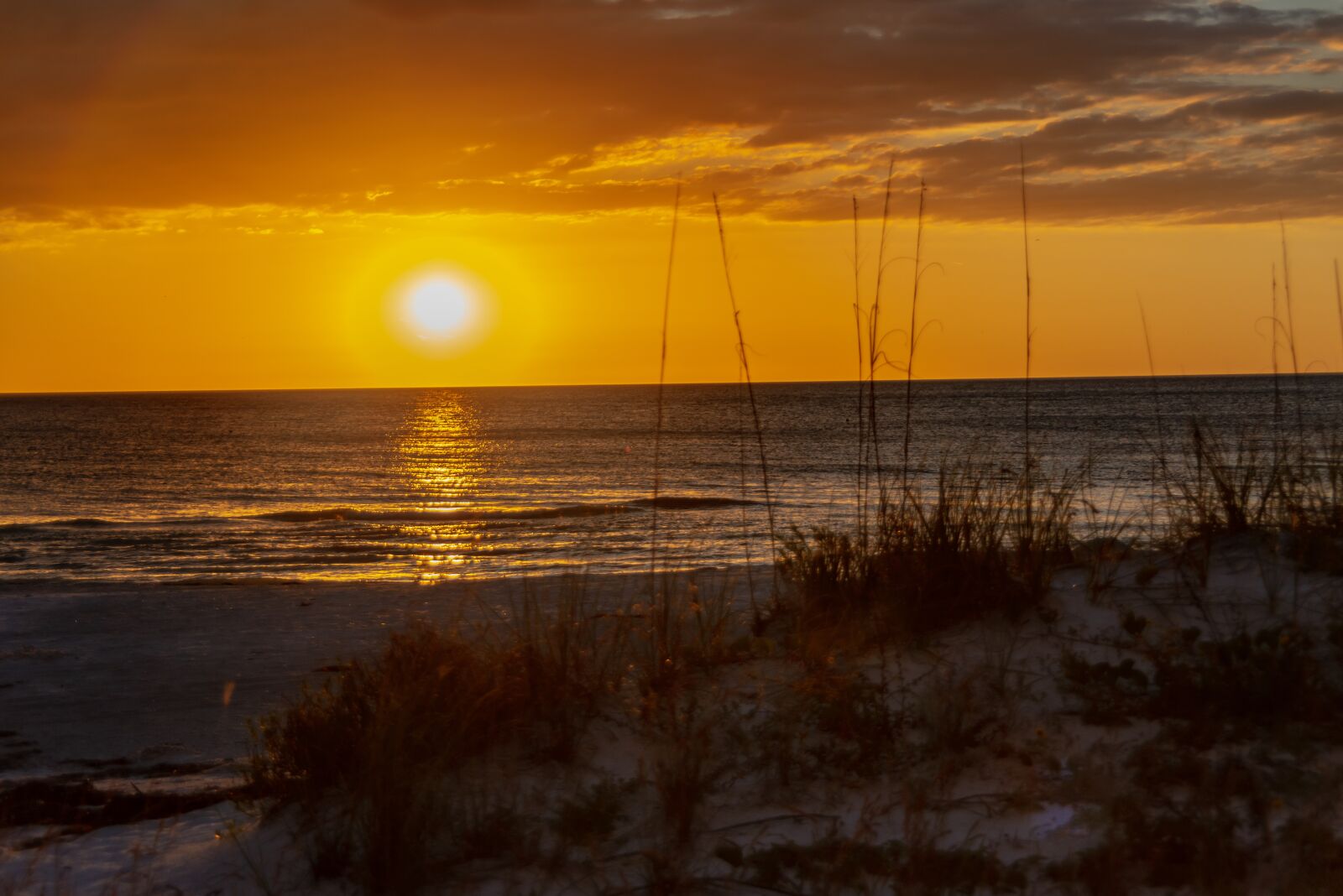 Nikon D800 sample photo. Sunset, beach, sea photography