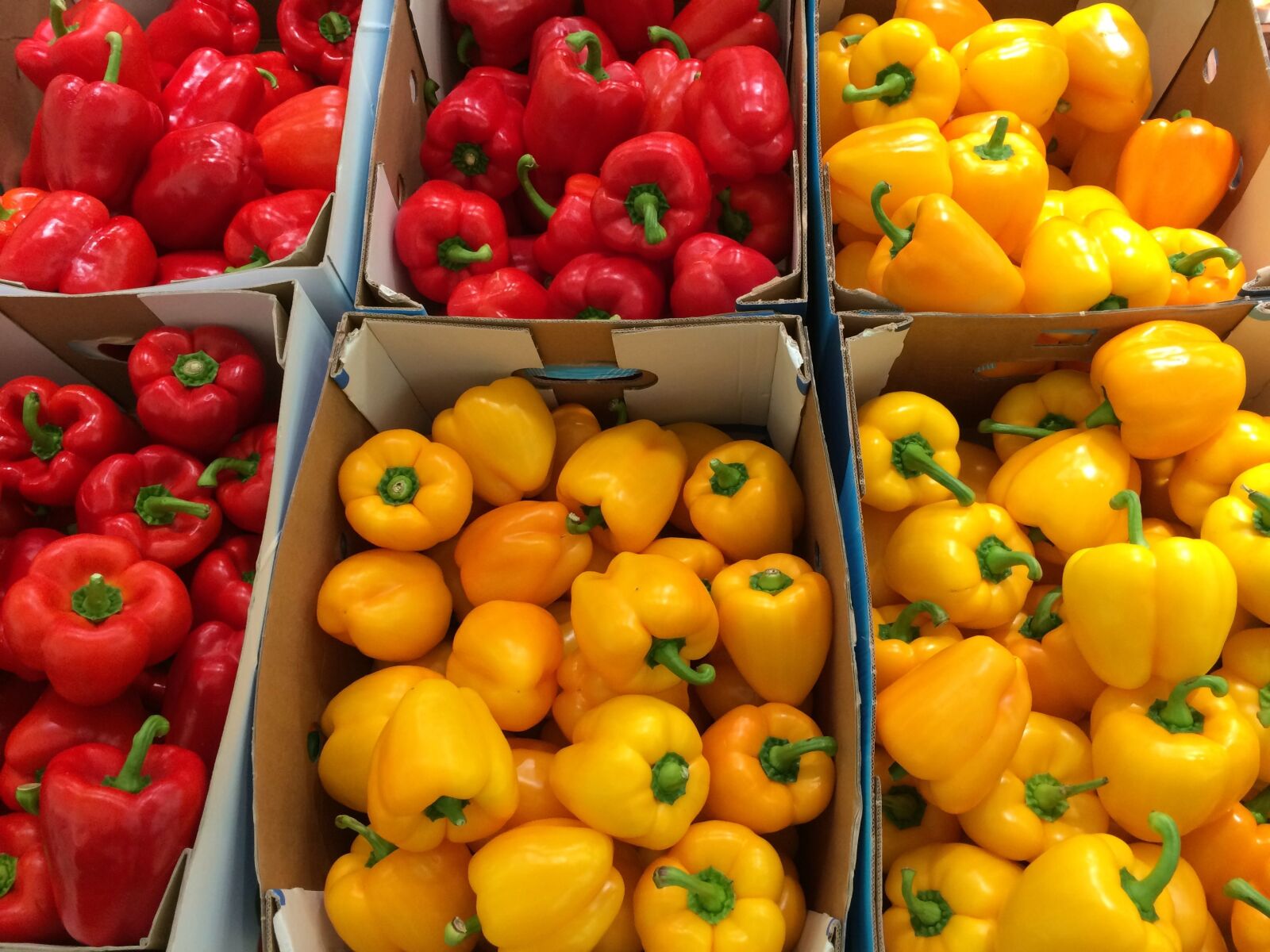 iPhone 5s back camera 4.15mm f/2.2 sample photo. Paprika, yellow, huang photography