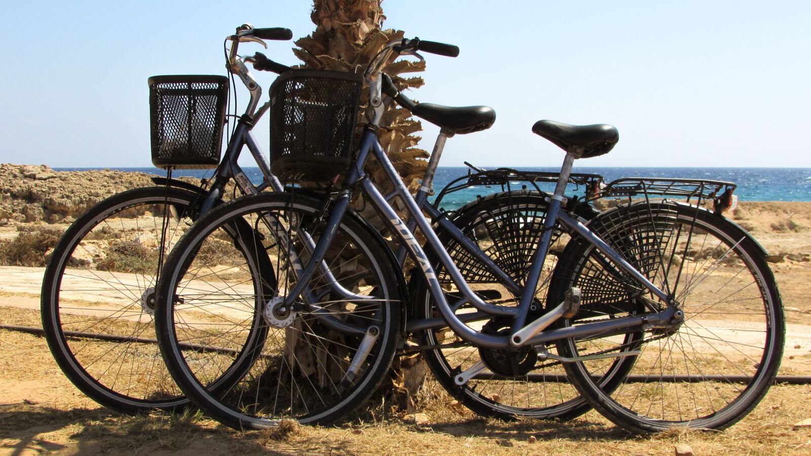 Canon PowerShot SX400 IS sample photo. Bicycle, nature, activity photography