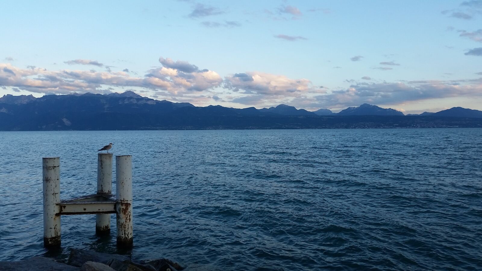 Samsung Galaxy S5 sample photo. Duck, lake, mountains photography