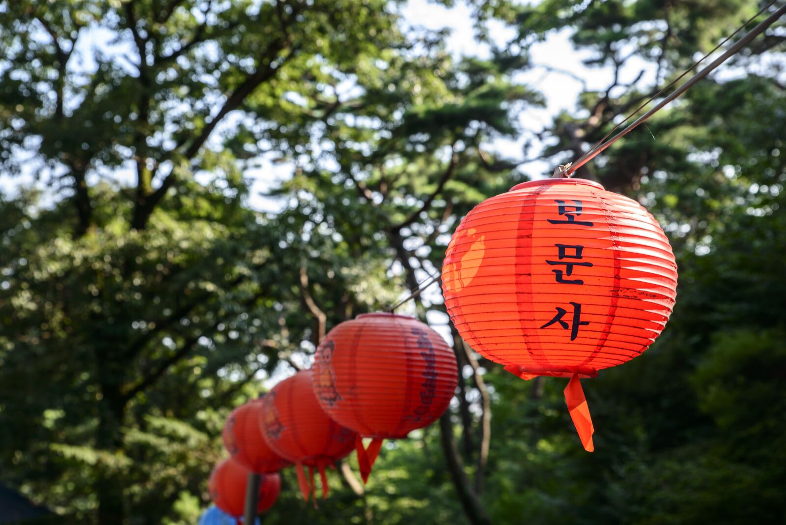 Nikon D800E sample photo. Light, bomunsa, temple photography