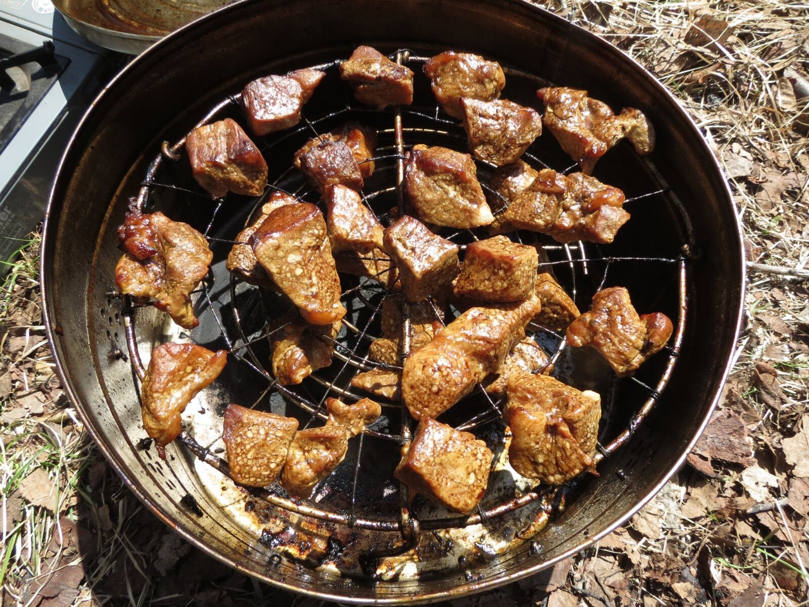 Canon PowerShot SX40 HS sample photo. Shish kebab, fried meat photography