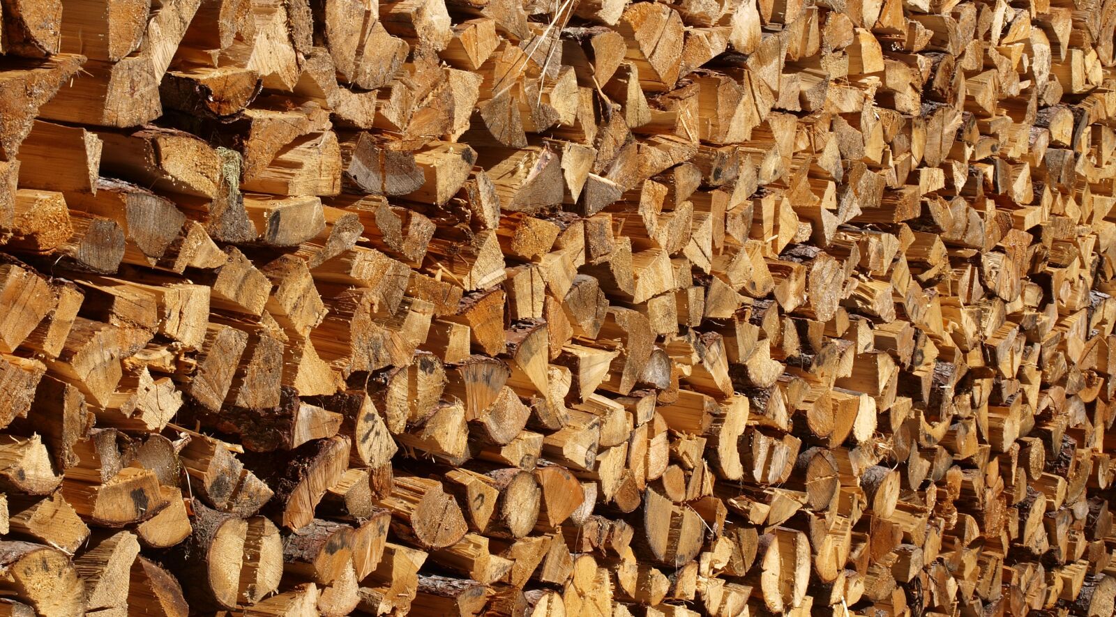 Olympus E-450 (EVOLT E-450) sample photo. Wood, stack, holzstapel photography
