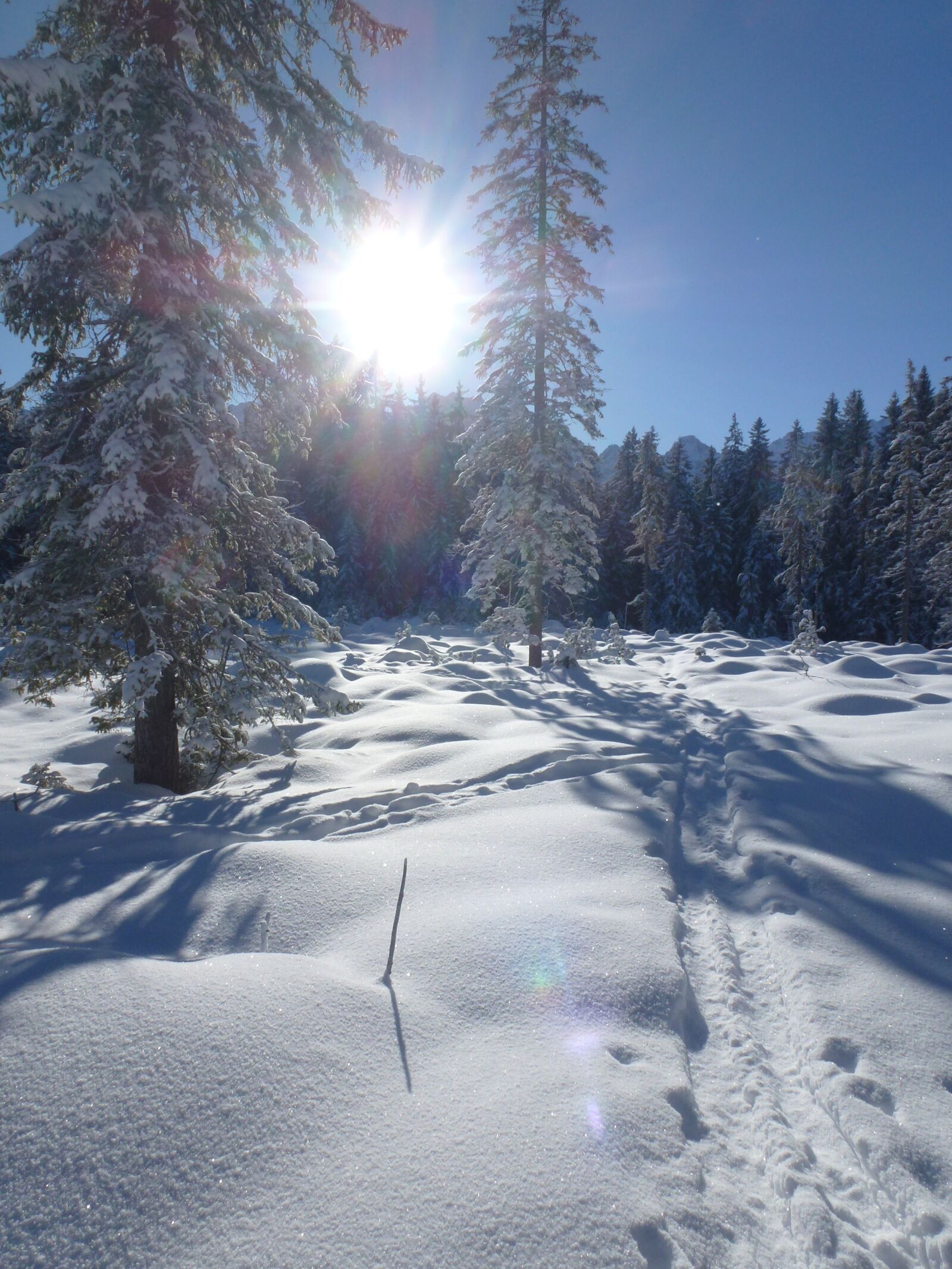 Leica V-Lux 30 / Panasonic Lumix DMC-TZ22 sample photo. Alpine, backcountry skiiing, winter photography