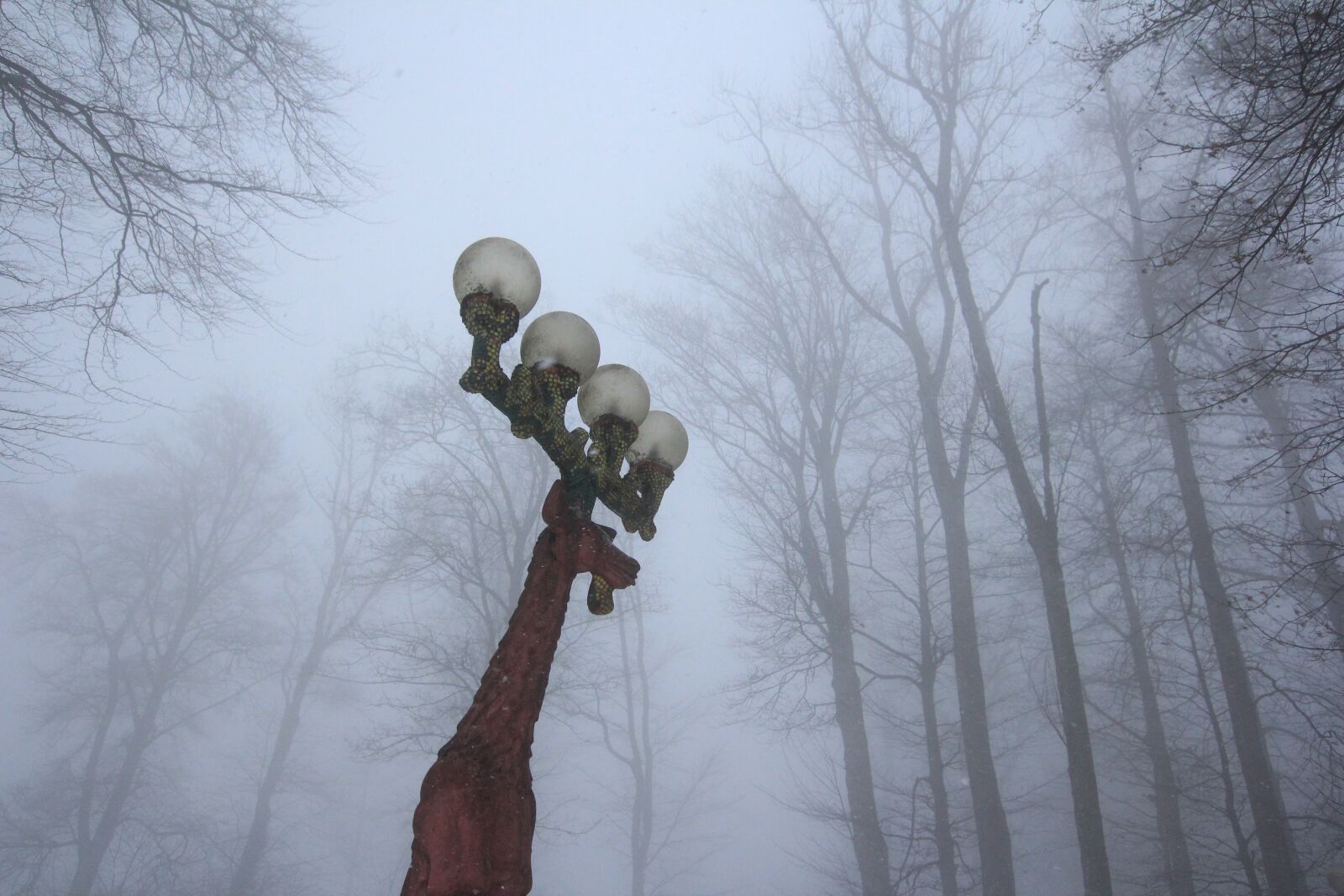 Canon EOS 600D (Rebel EOS T3i / EOS Kiss X5) sample photo. Street lights, deer, fog photography