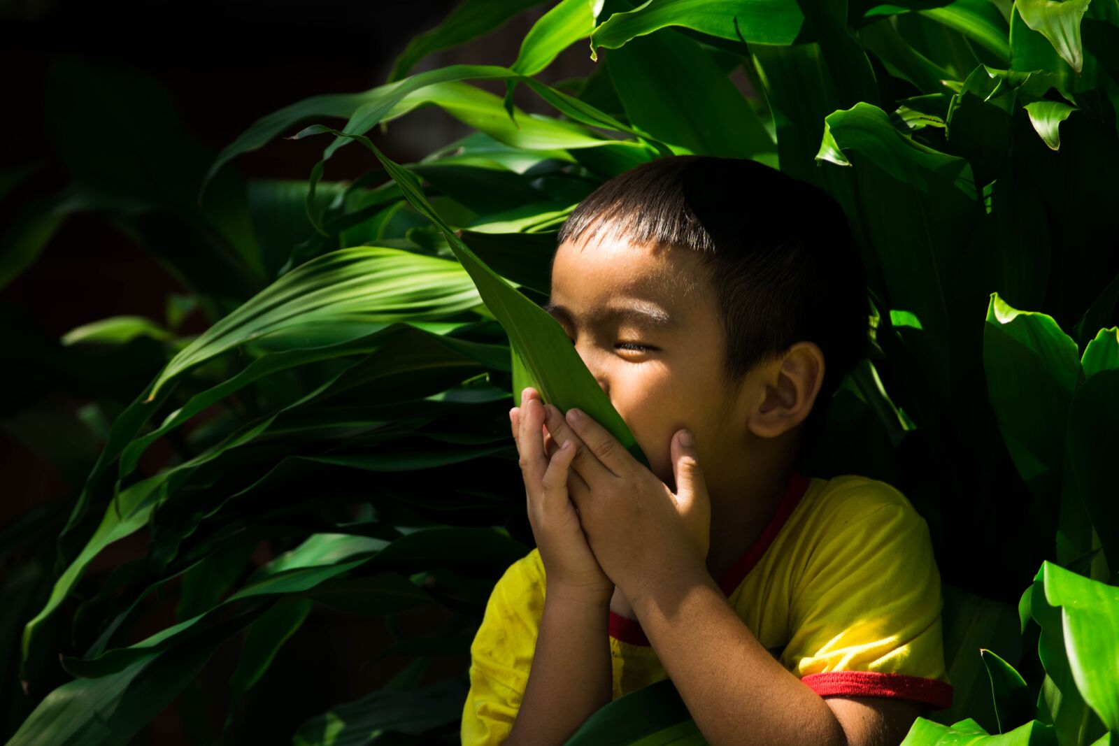Nikon D5300 sample photo. Kids, autumn leaves, green photography