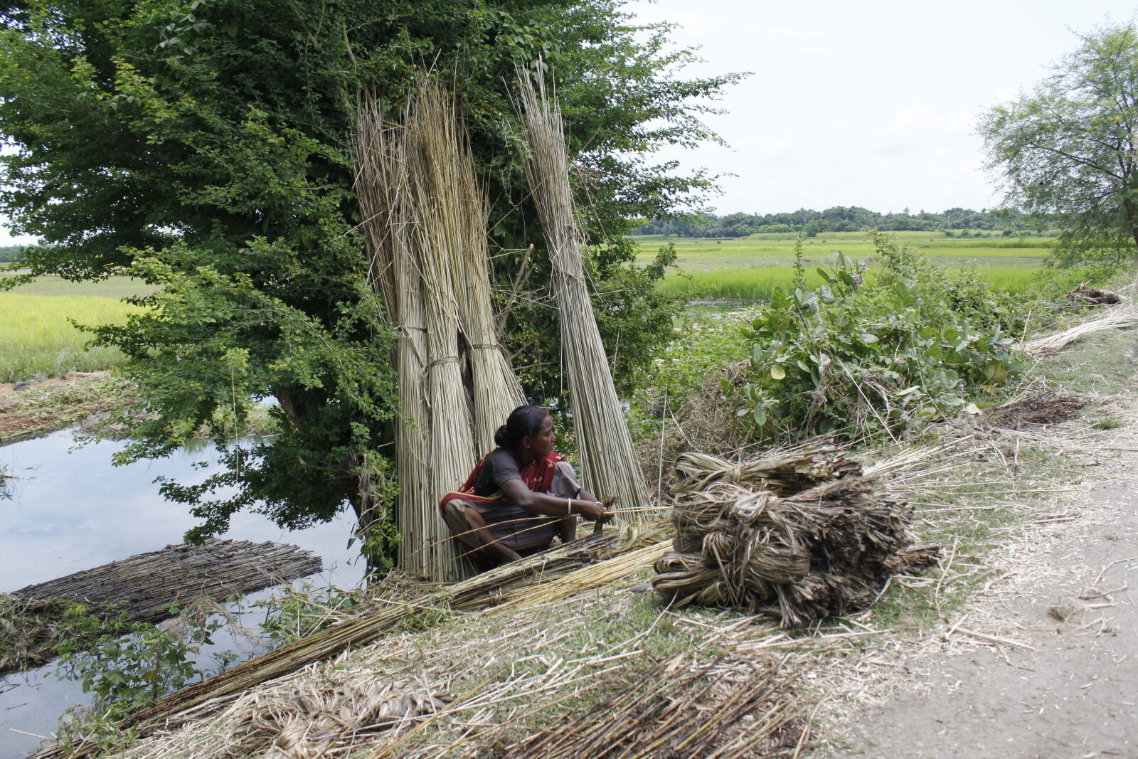 Canon EOS 500D (EOS Rebel T1i / EOS Kiss X3) sample photo. Bangladesh, canal, fisherman, flower photography