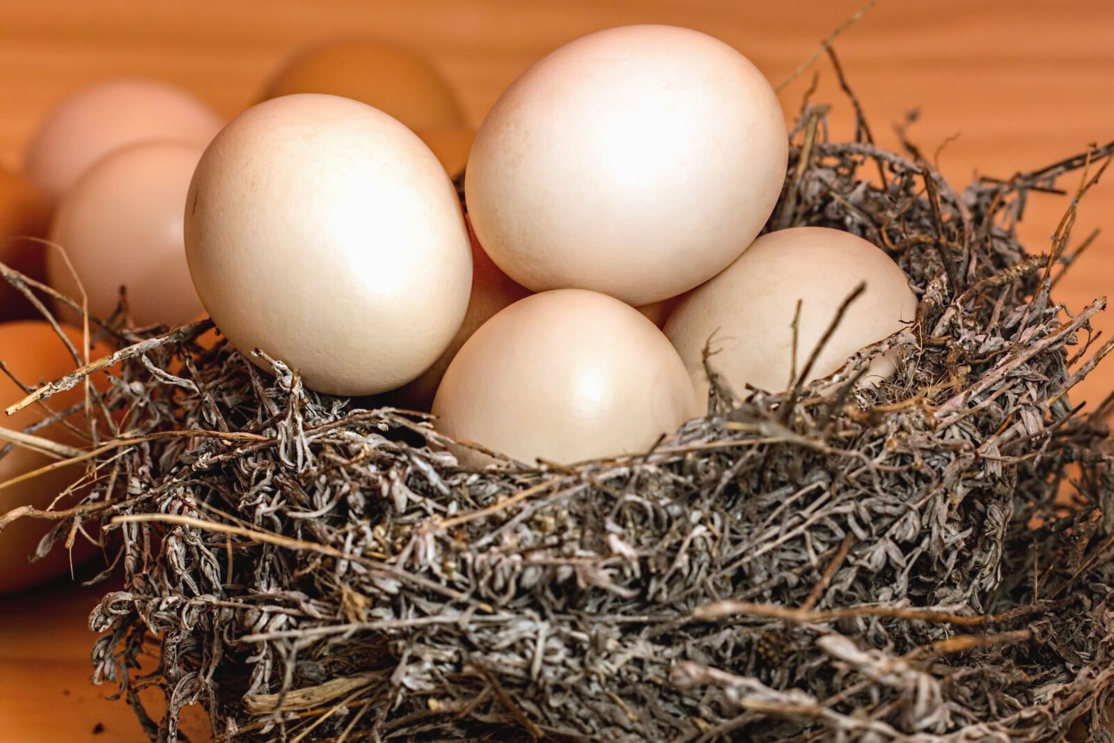Canon EOS 70D sample photo. Easter, holiday, decoration, egg photography
