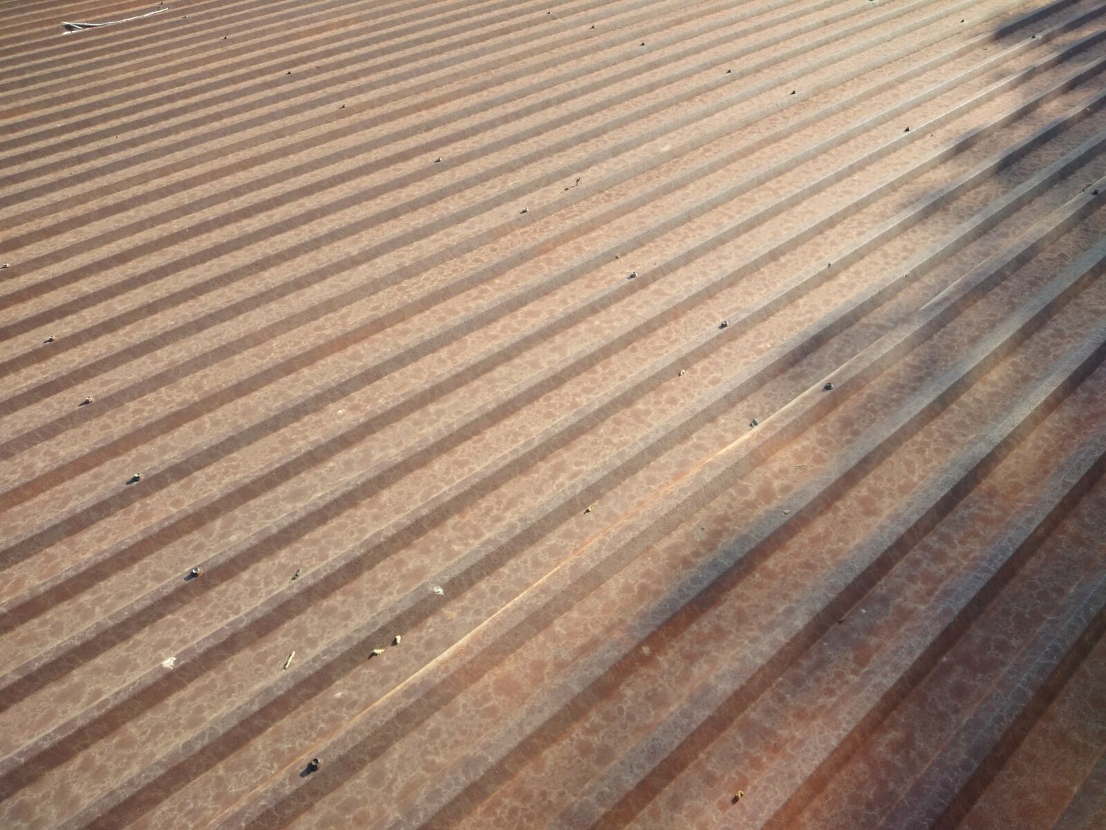 OPPO A3S sample photo. Roof, brown, tole photography