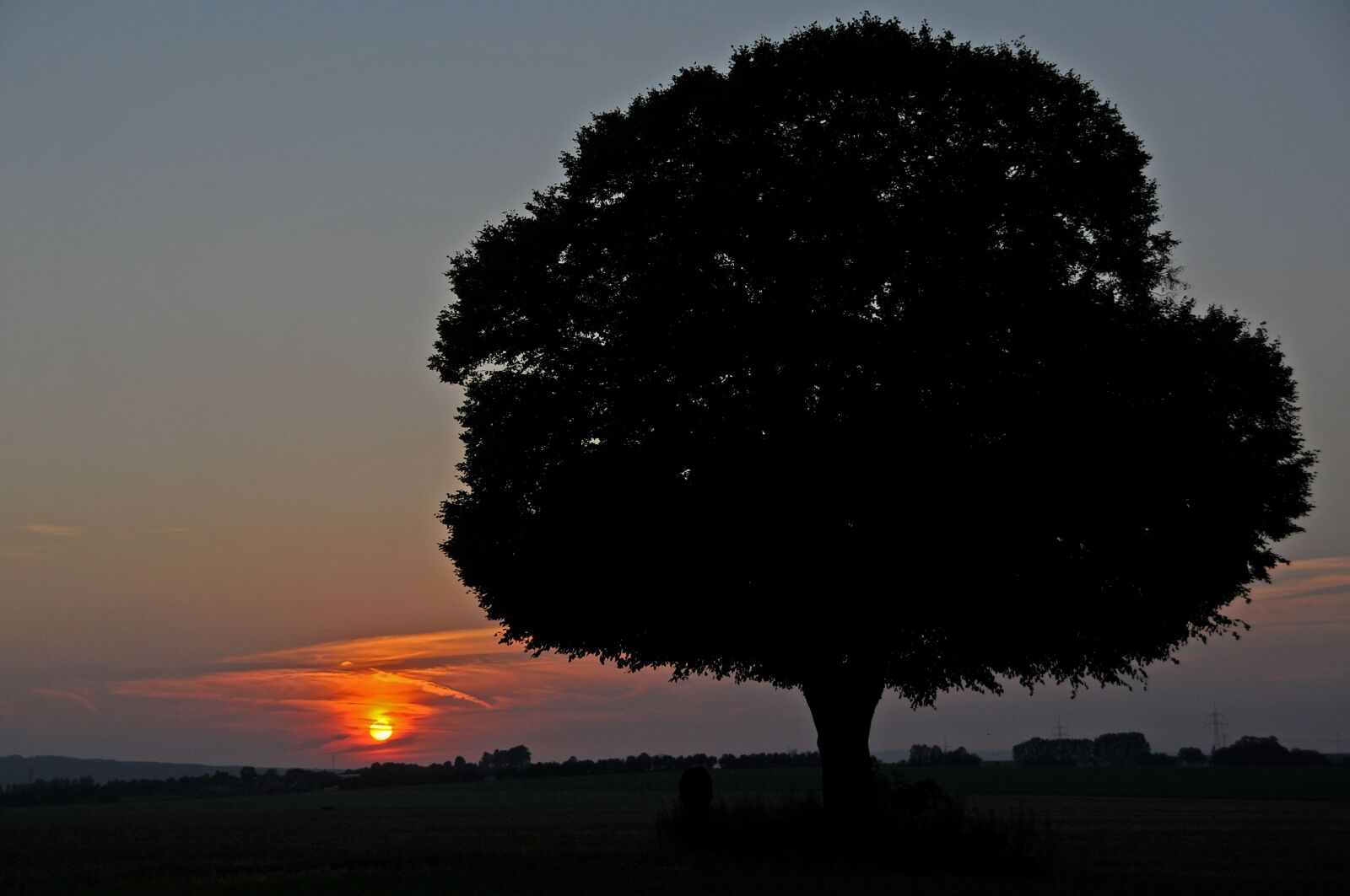 Nikon D300S sample photo. Sunset, sun, tree photography