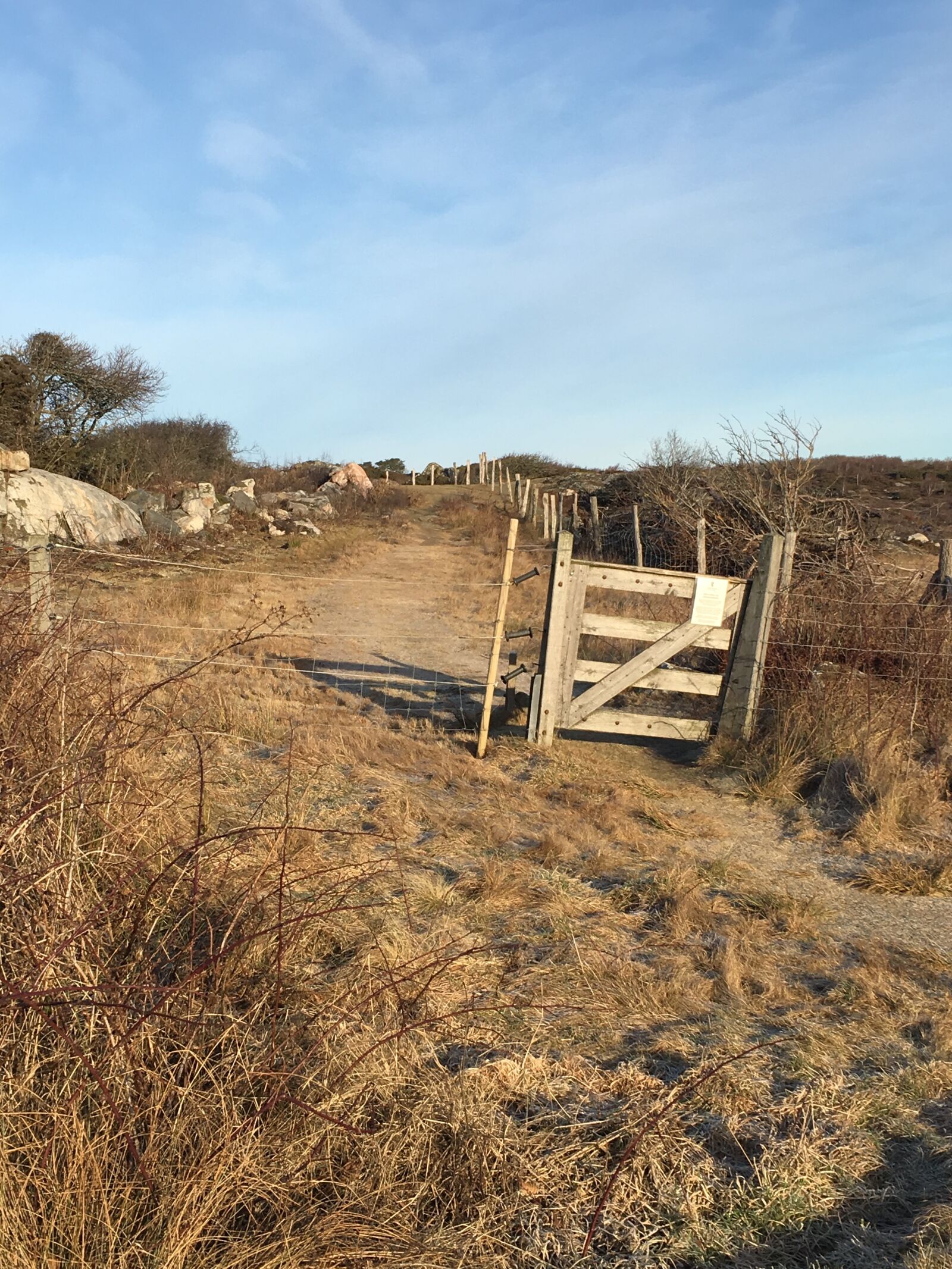Apple iPhone 6s sample photo. Nature, coastal, winter photography