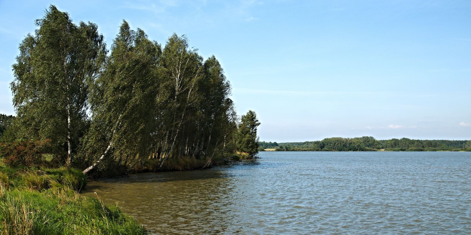 Nikon D80 sample photo. South bohemia, trebonsko, pond photography