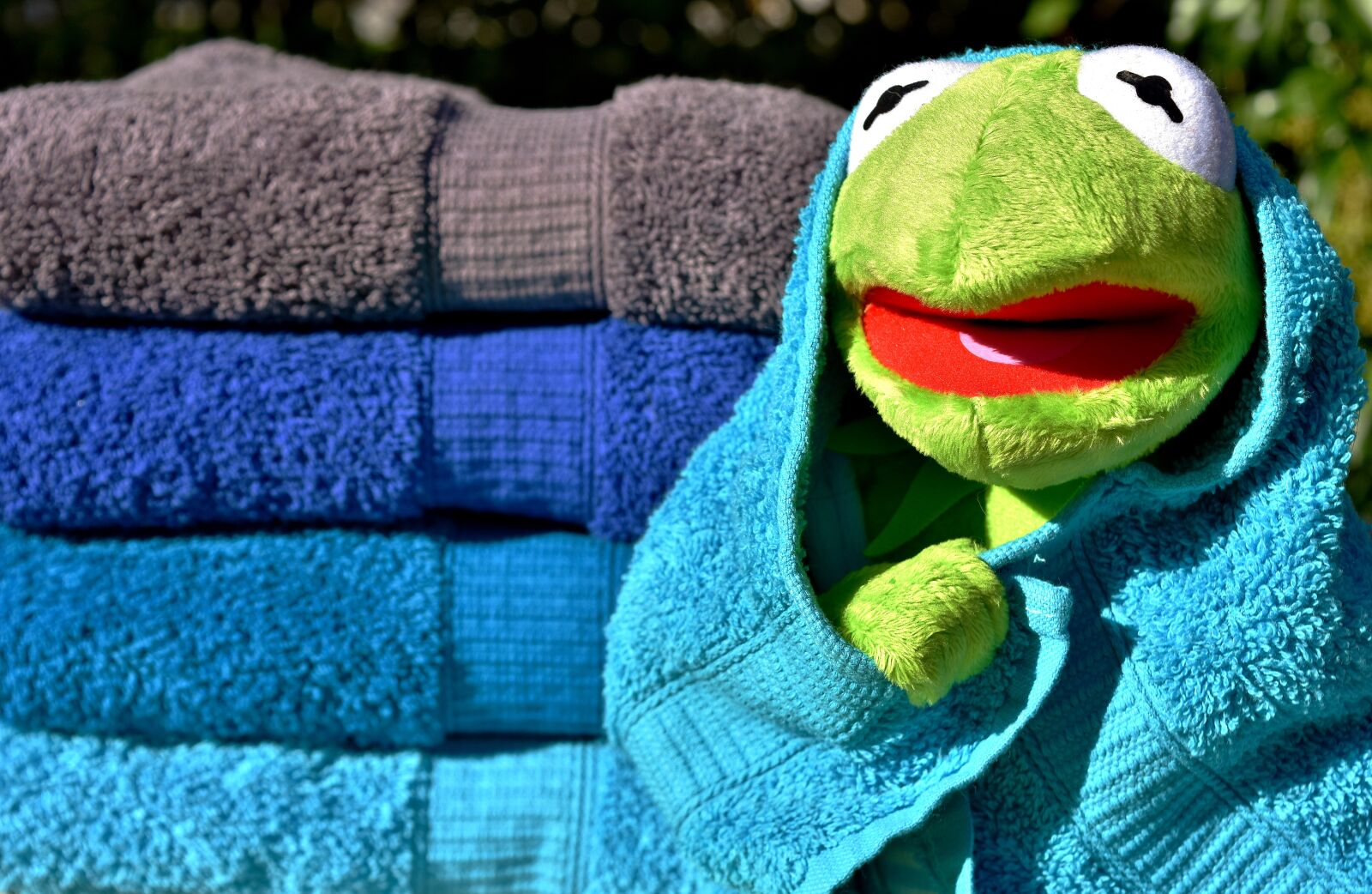 Nikon D7200 sample photo. Kermit, towels, blue photography