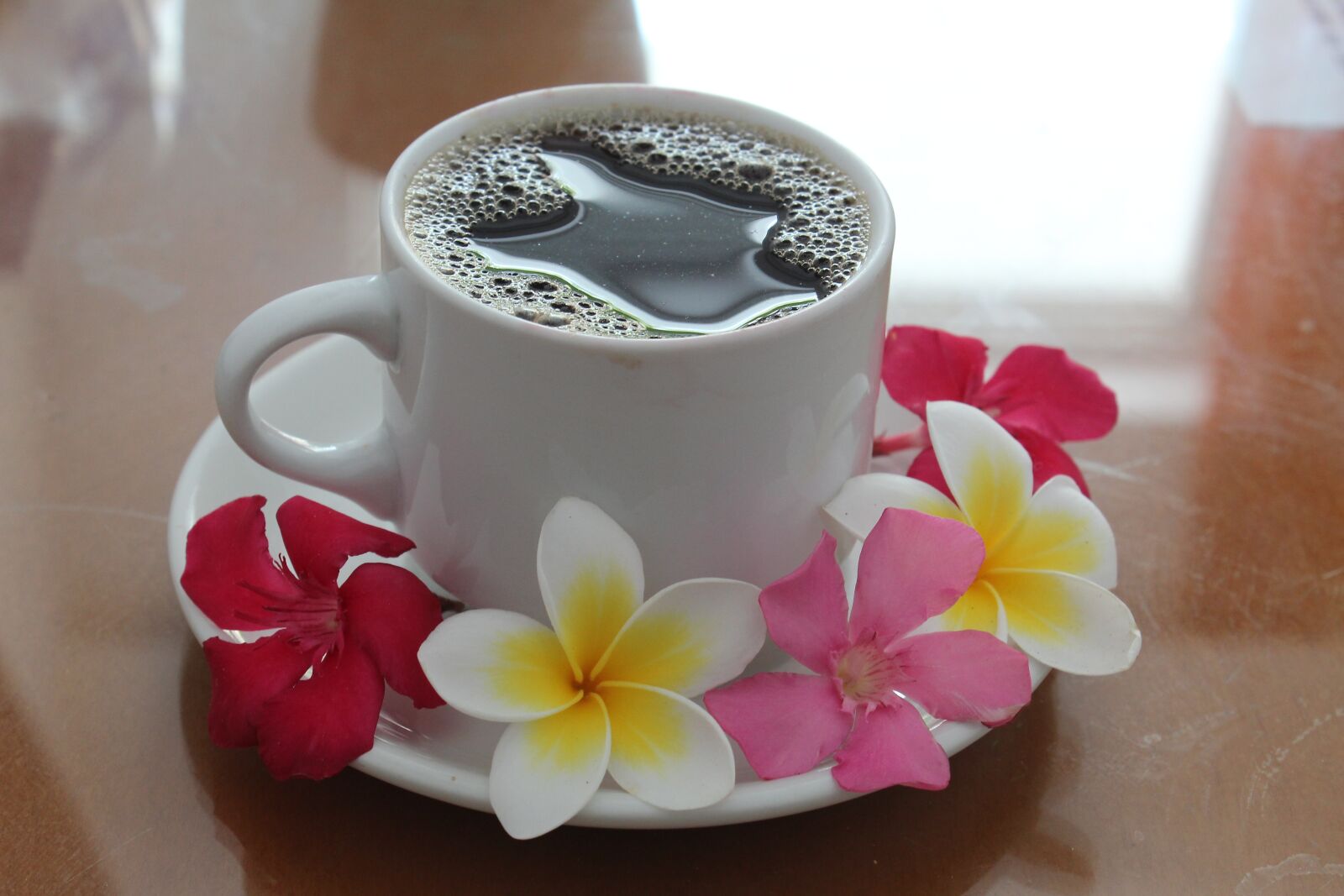 Canon EOS 600D (Rebel EOS T3i / EOS Kiss X5) sample photo. Coffee, cup, drink photography