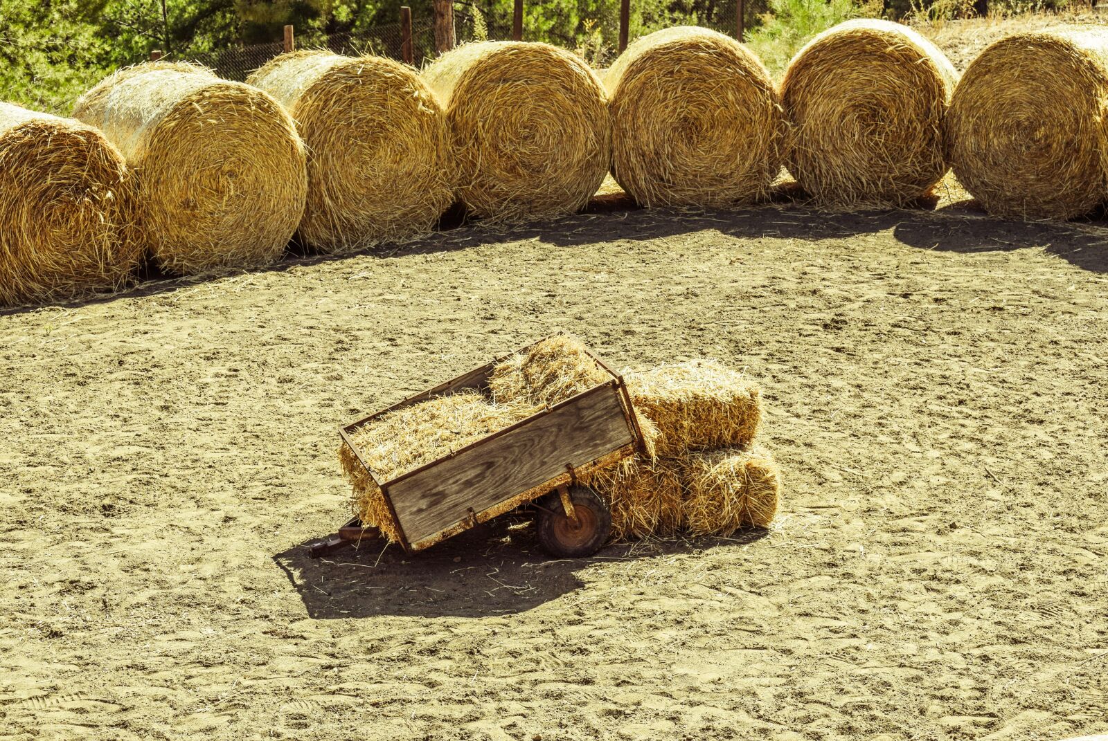 Nikon D3300 sample photo. Wagon, bales, hay photography