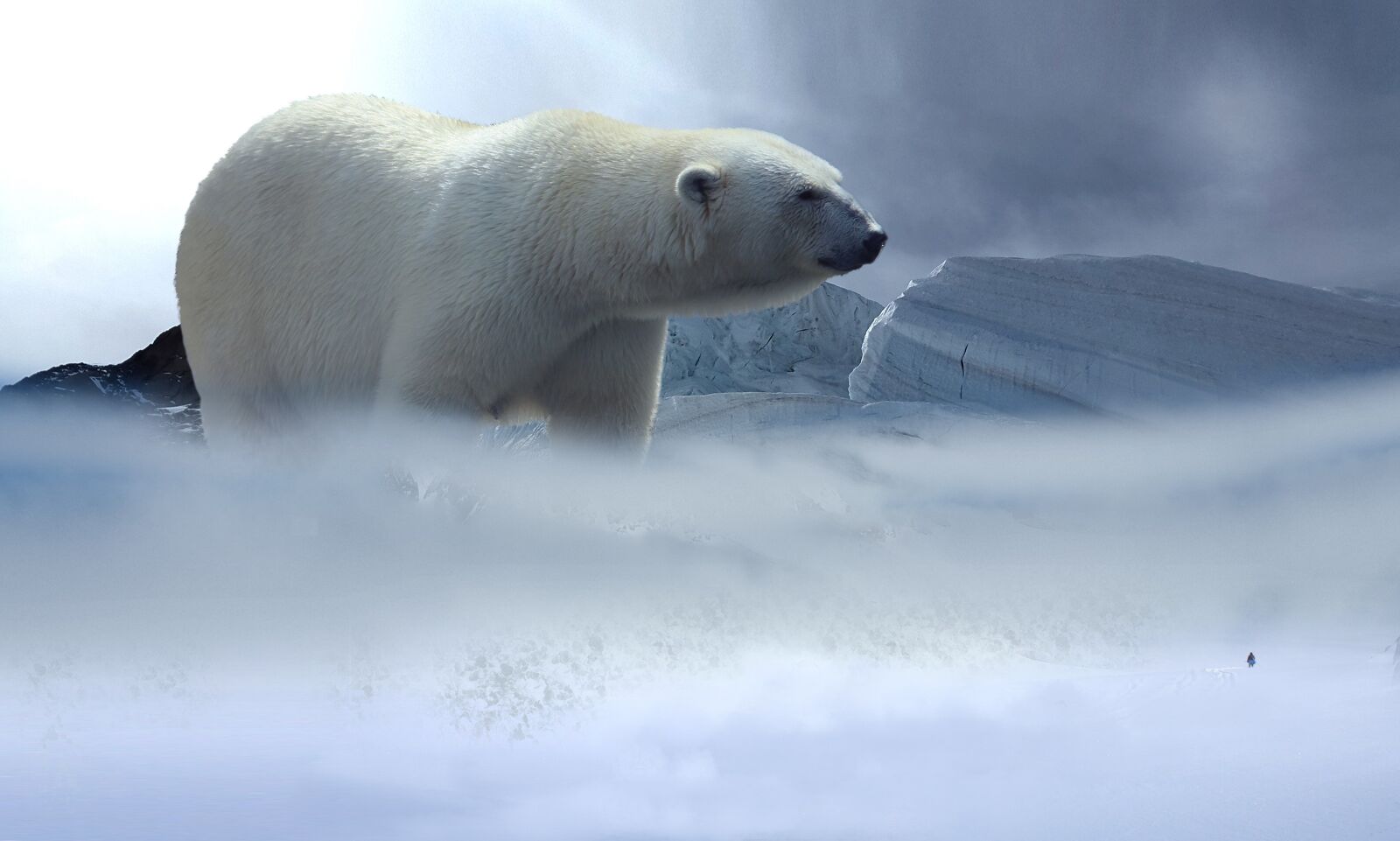 Samsung Galaxy Alpha sample photo. Polar bear, glacier, cold photography