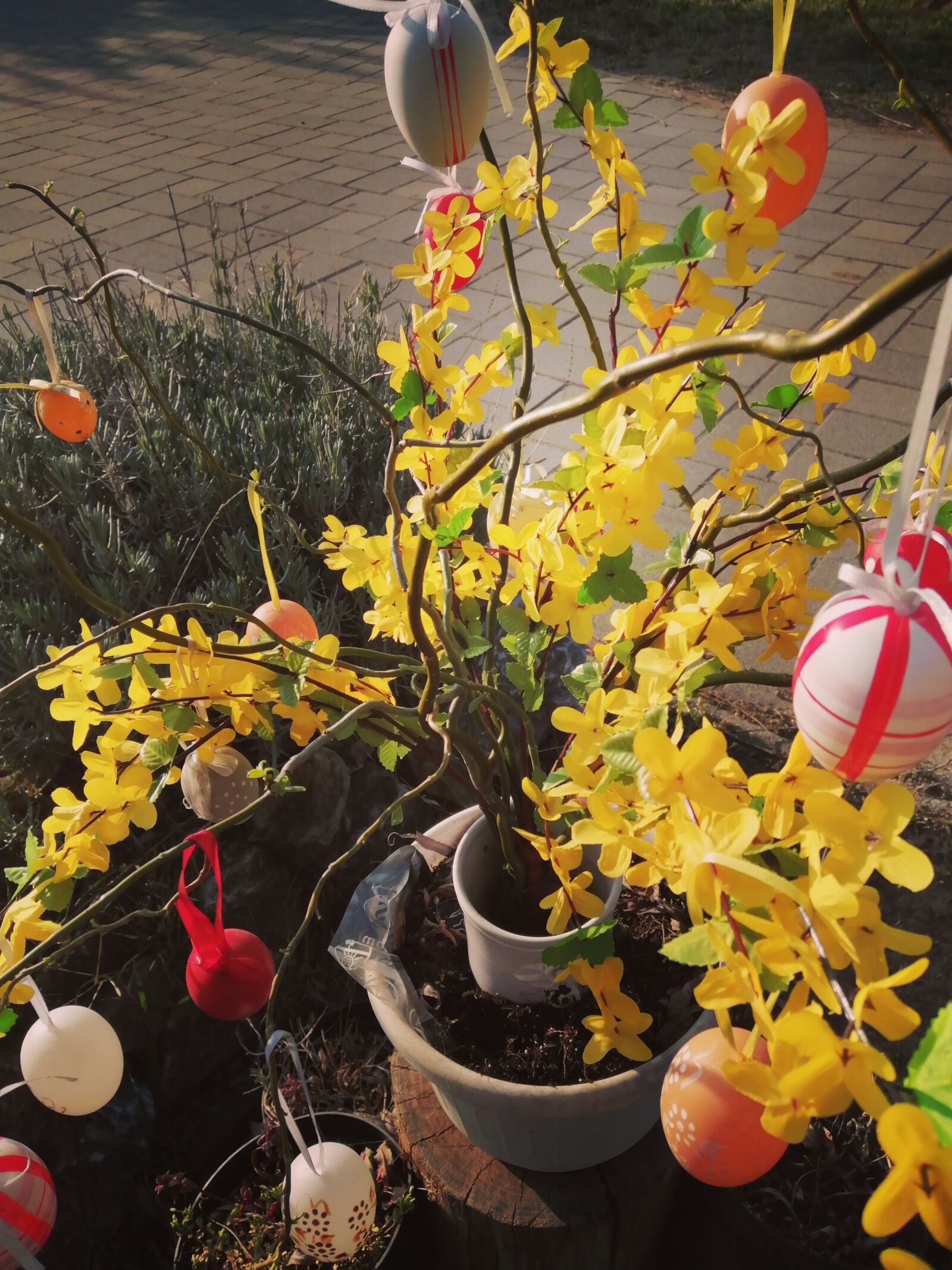 HUAWEI P SMART 2019 sample photo. Easter, holiday, spring photography