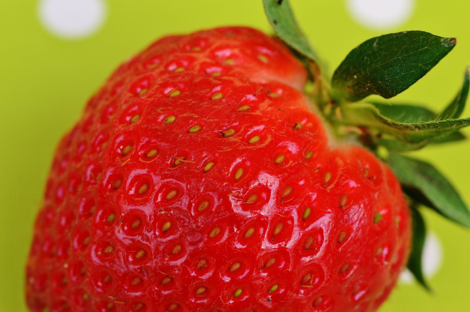Nikon D3200 sample photo. Strawberries, fruit, close up photography