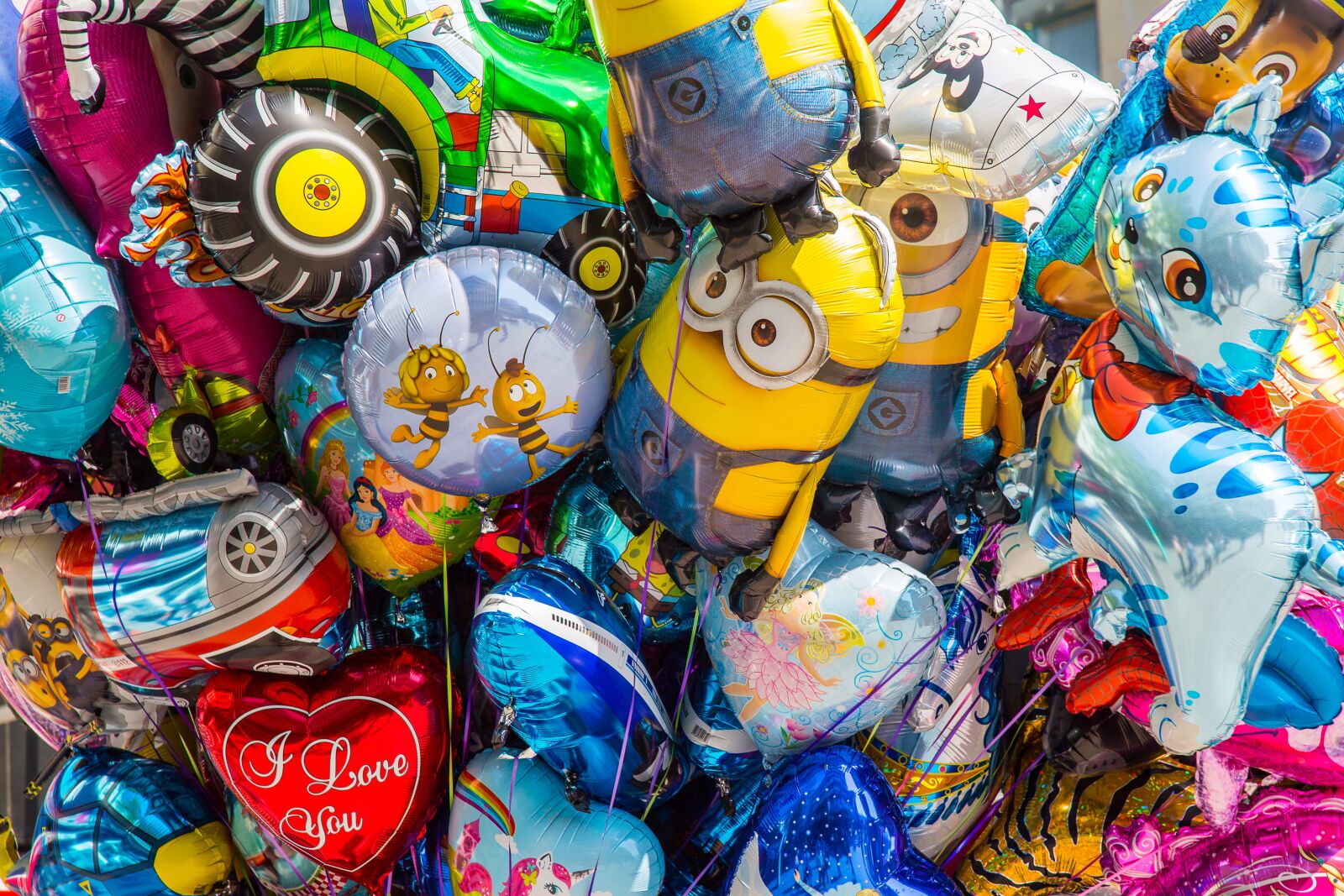Canon EF 24-105mm F4L IS USM sample photo. Balloon, year market, bloat photography