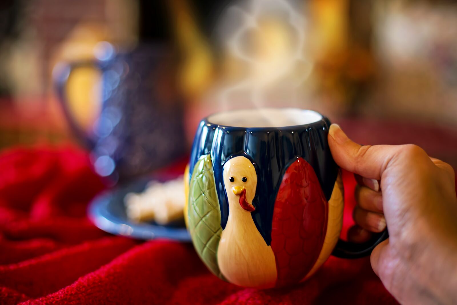 Canon EF 50mm F1.4 USM sample photo. Thanksgiving, mug, hot chocolate photography
