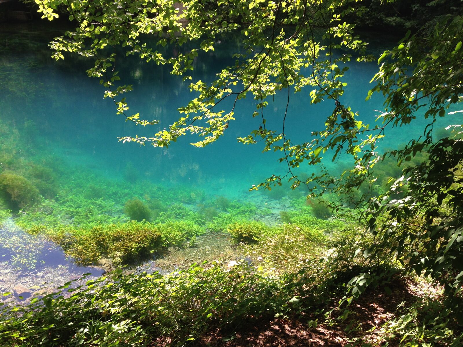 iPhone 5 back camera 4.12mm f/2.4 sample photo. Blautopf, blaubeuren, source photography