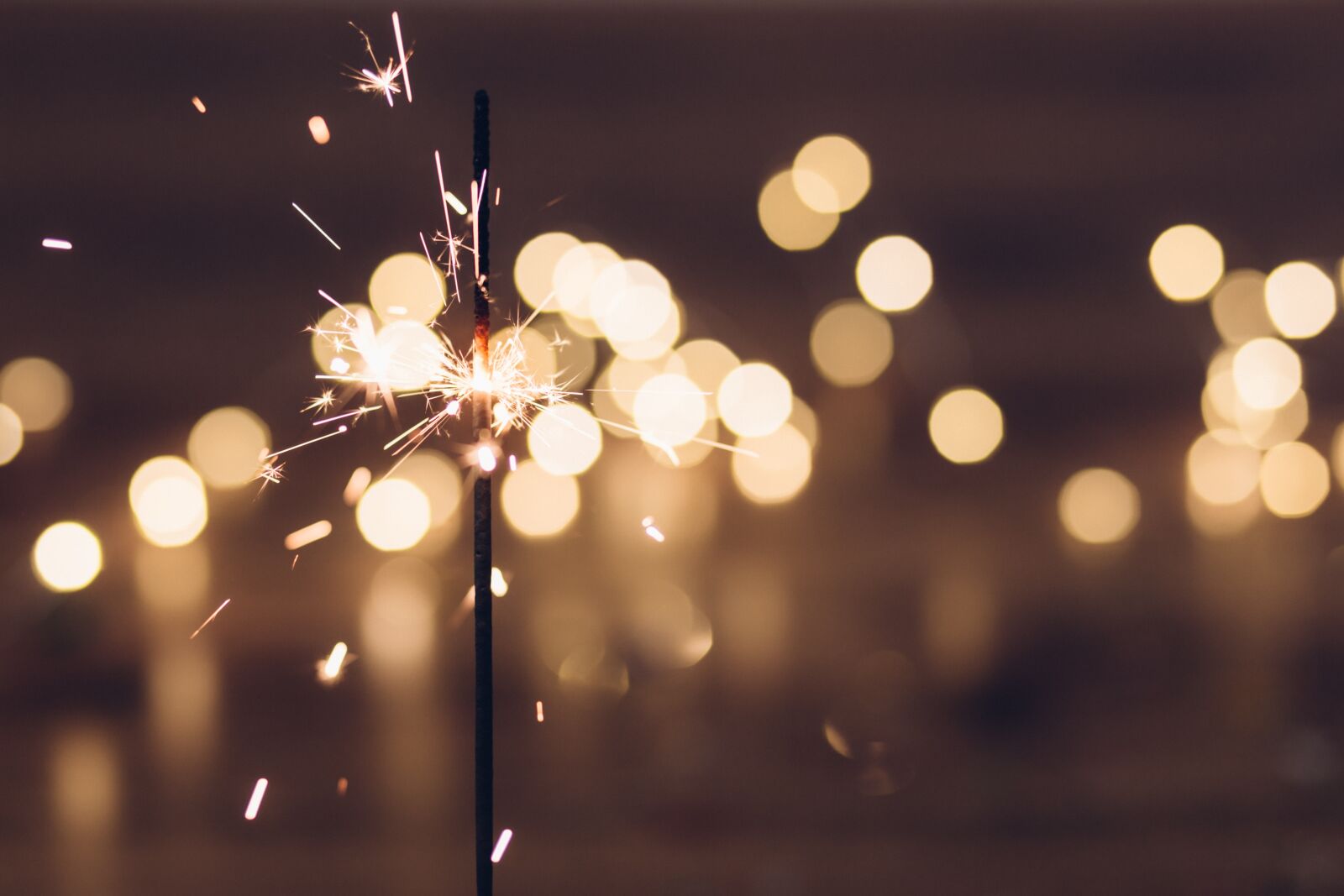 Canon EF 85mm F1.8 USM sample photo. Bokeh, blur, sparkling photography