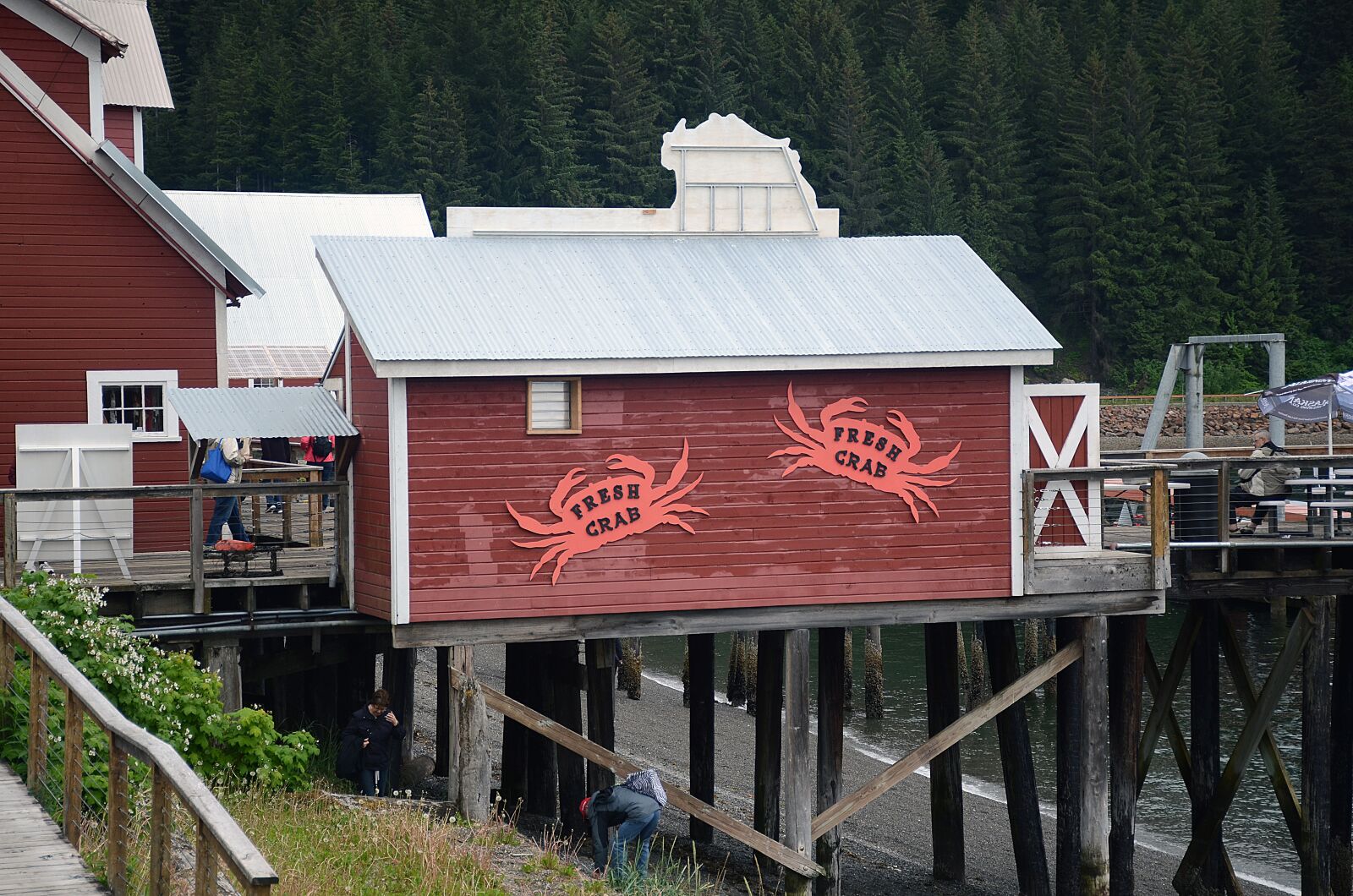 Nikon D7000 sample photo. Alaska, crab, old photography