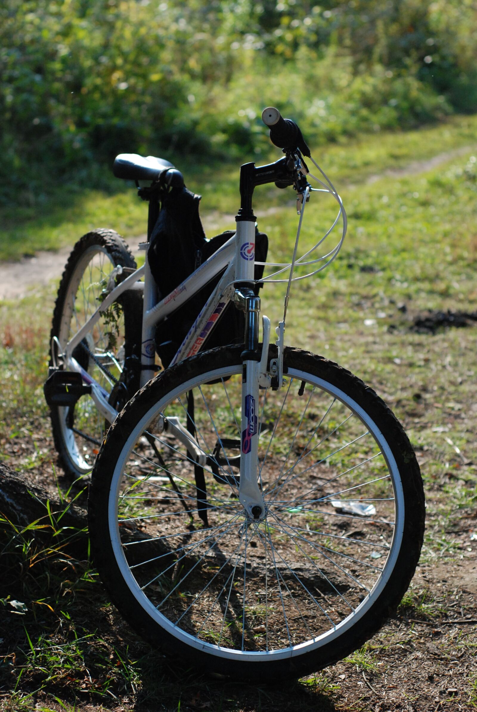 Nikon D80 sample photo. Bike, forest, autumn photography