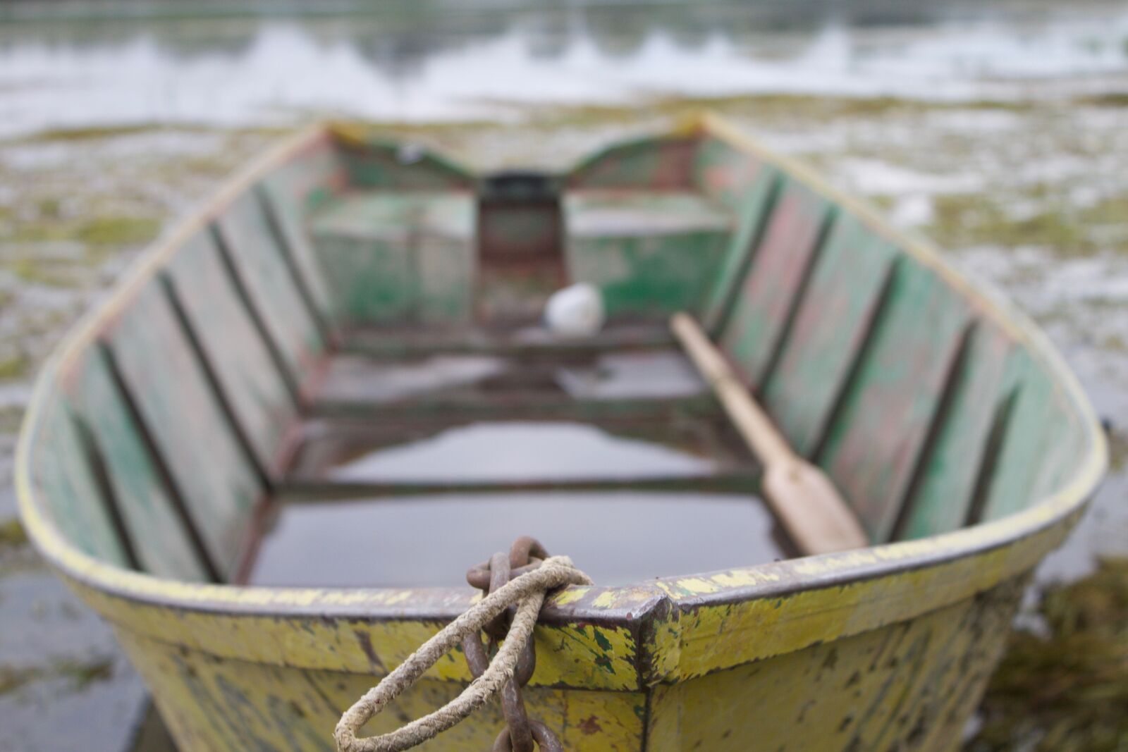 Canon EOS 1100D (EOS Rebel T3 / EOS Kiss X50) sample photo. Boat, leak, water photography