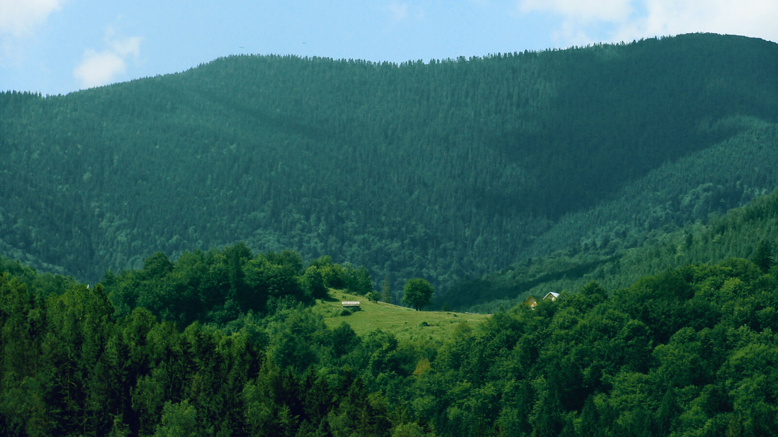 Sony Cyber-shot DSC-H10 sample photo. Carpathians, cottage, country, countryside photography