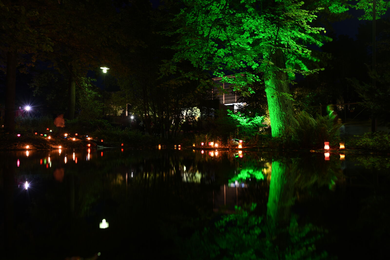 Nikon D750 sample photo. Lakeside lights photography