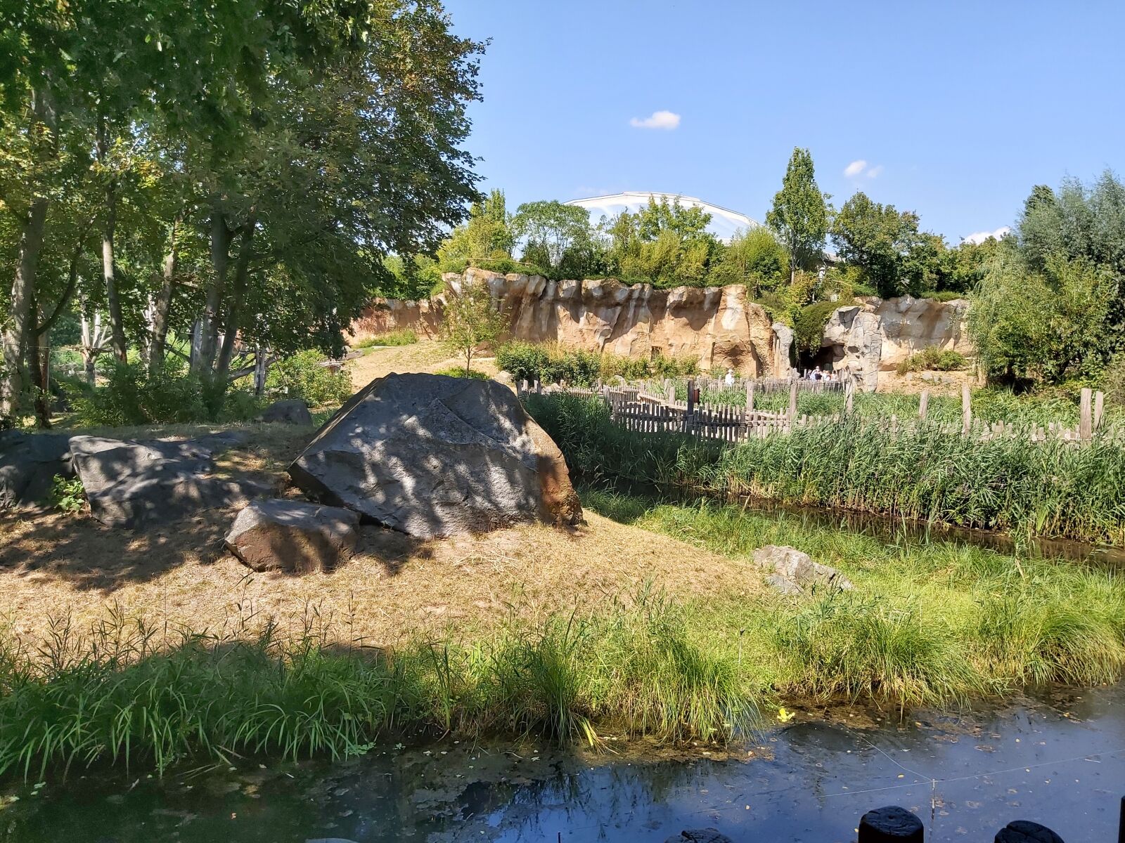 Samsung Galaxy A70 sample photo. Trees, grass, nature photography