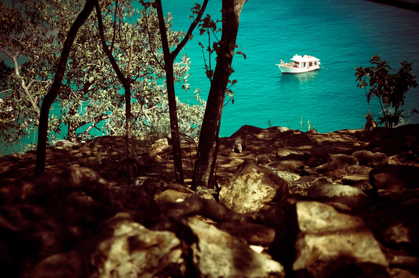 Nikon D5000 sample photo. Fernando, of, noronha photography