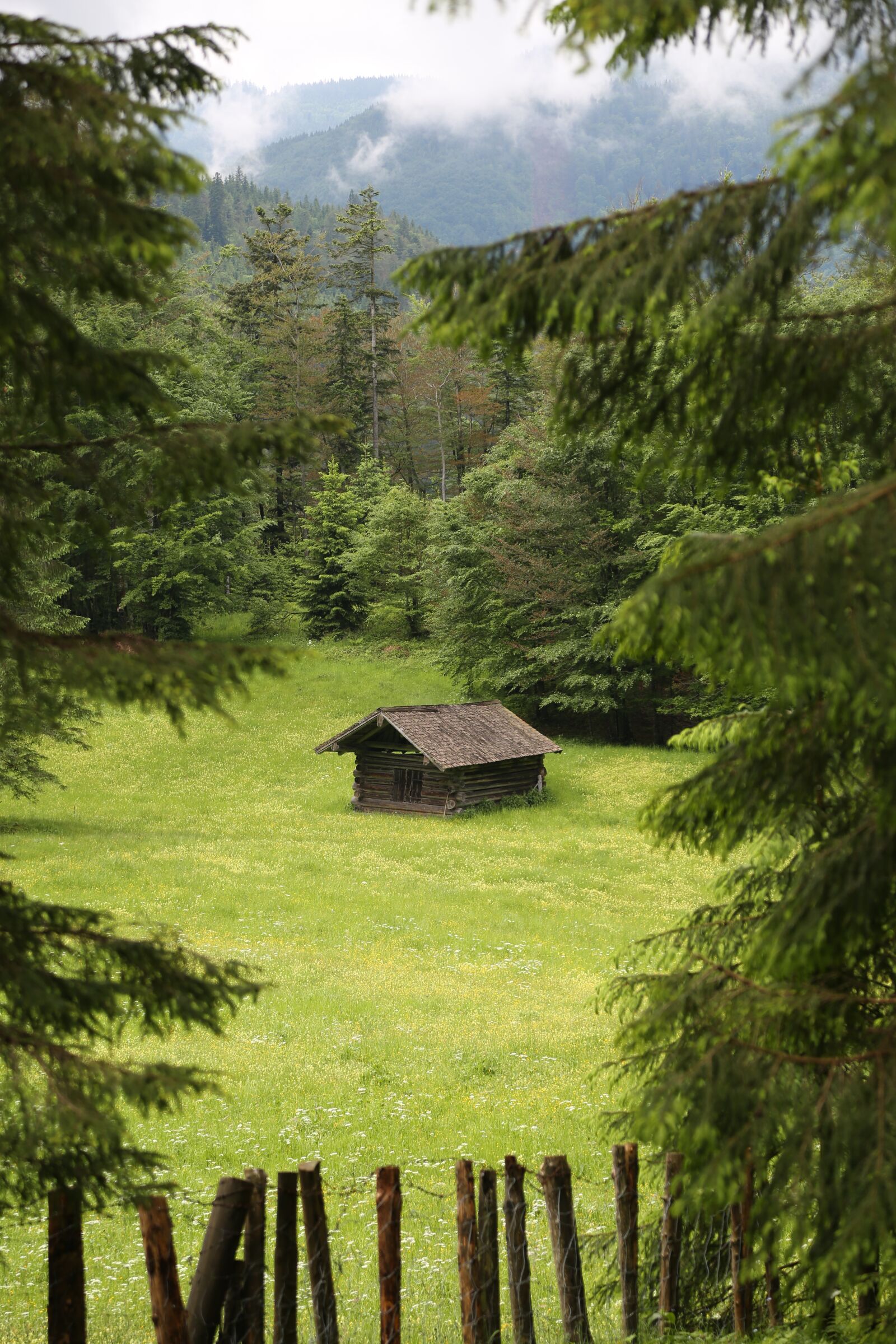 Canon EF 24-105mm F4L IS USM sample photo. Alm, hut, meadow photography