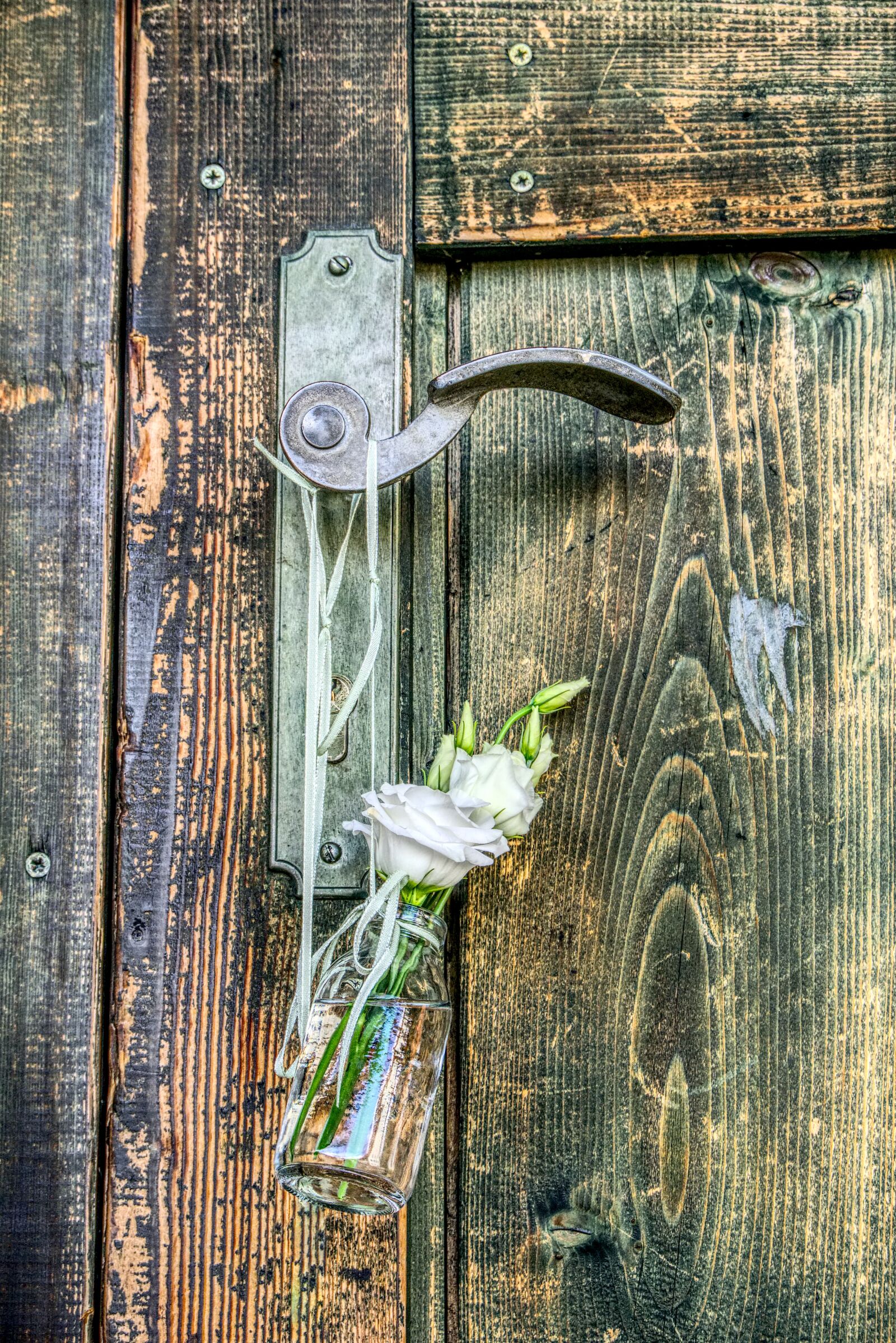 Sony a6000 sample photo. Door, door handle, rose photography
