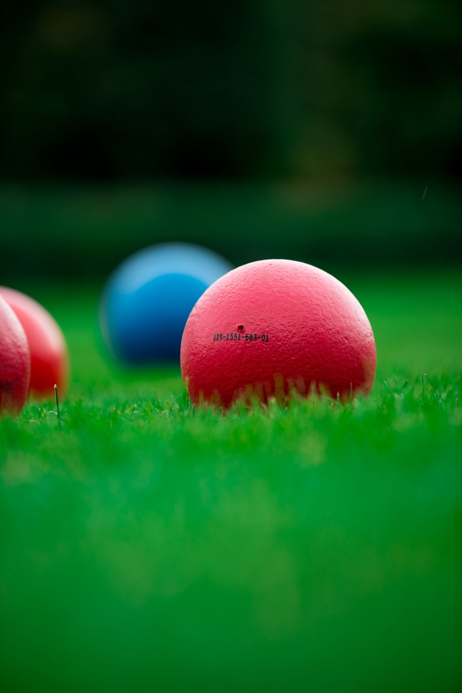 Nikon D750 sample photo. Course, handball, ball photography
