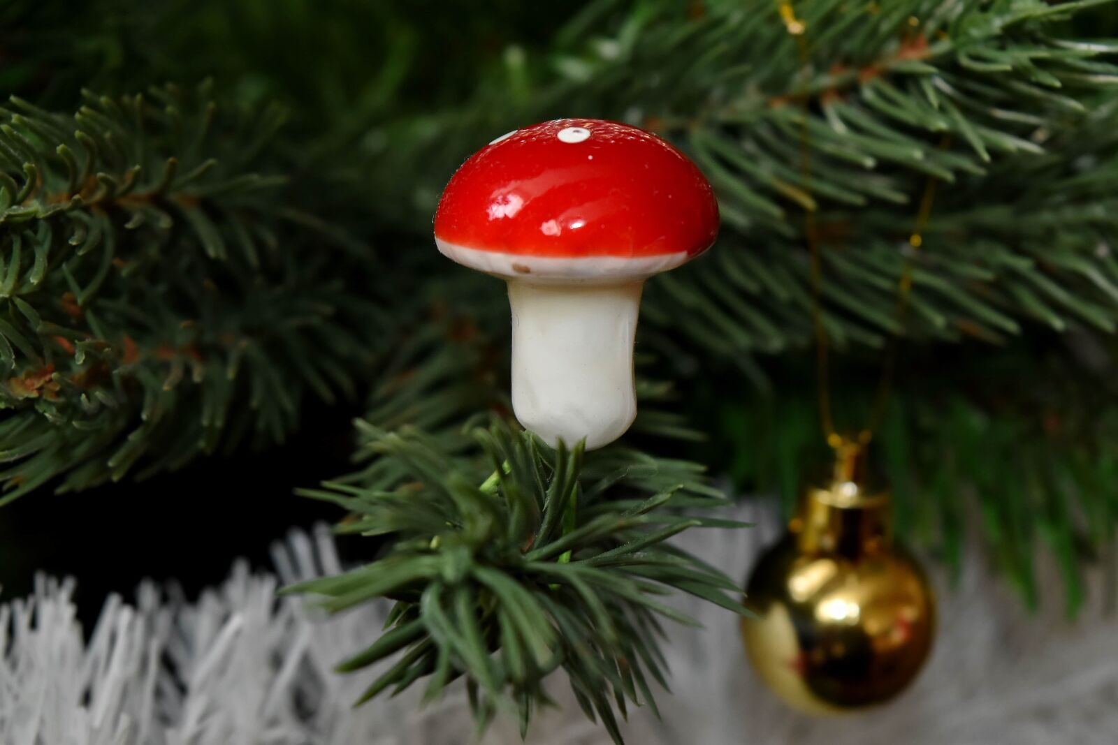 Nikon D5500 sample photo. Branches, christmas, christmas tree photography