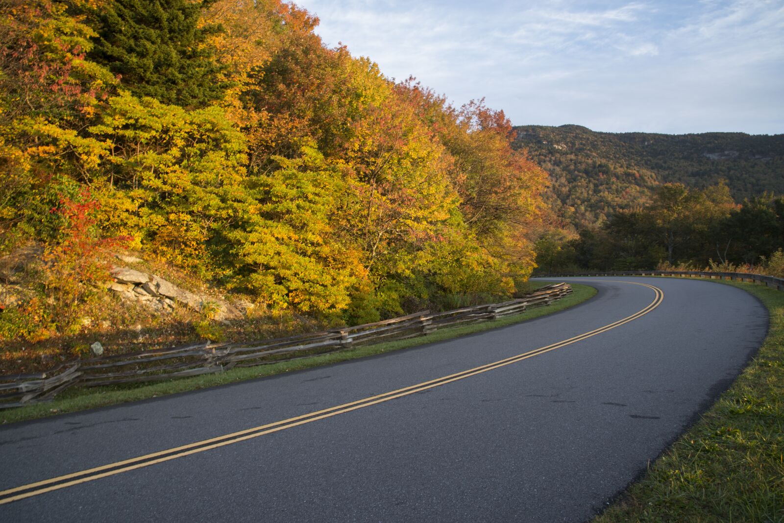 Nikon D610 sample photo. Fall, leaves, autumn photography