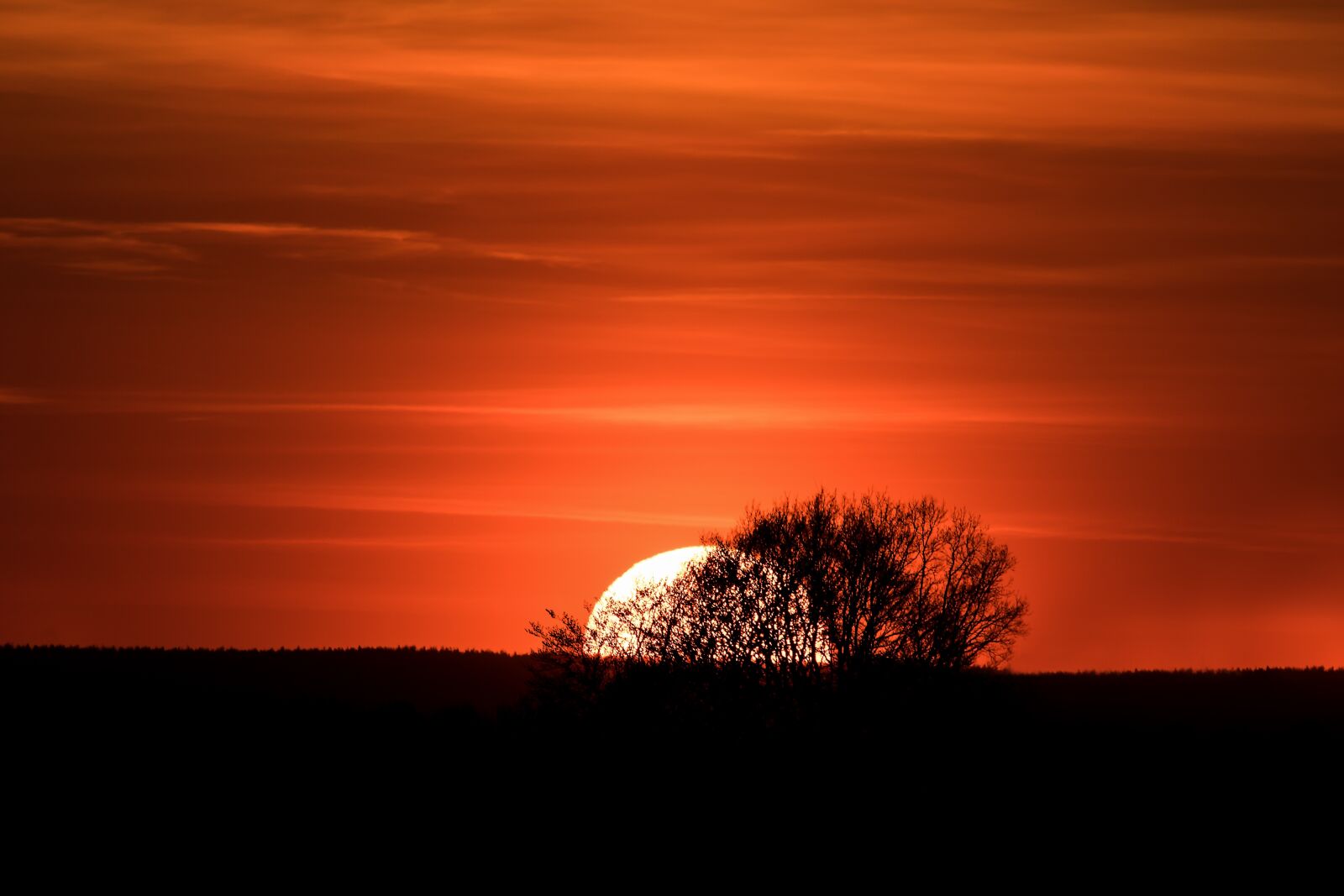 150-600mm F5-6.3 DG OS HSM | Contemporary 015 sample photo. Sunset, sun, sky photography