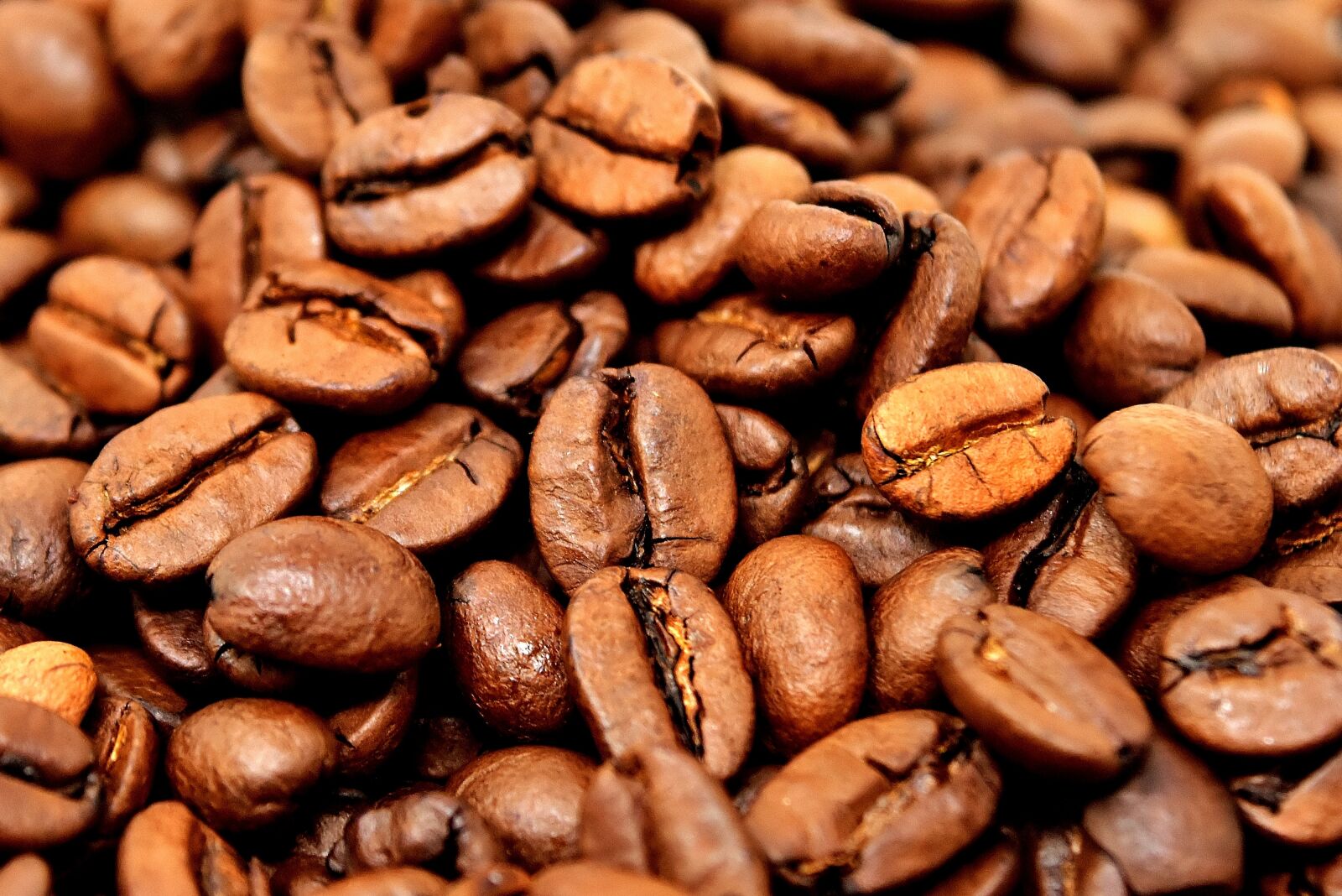 Nikon D7200 sample photo. Coffee beans, coffee, benefit photography