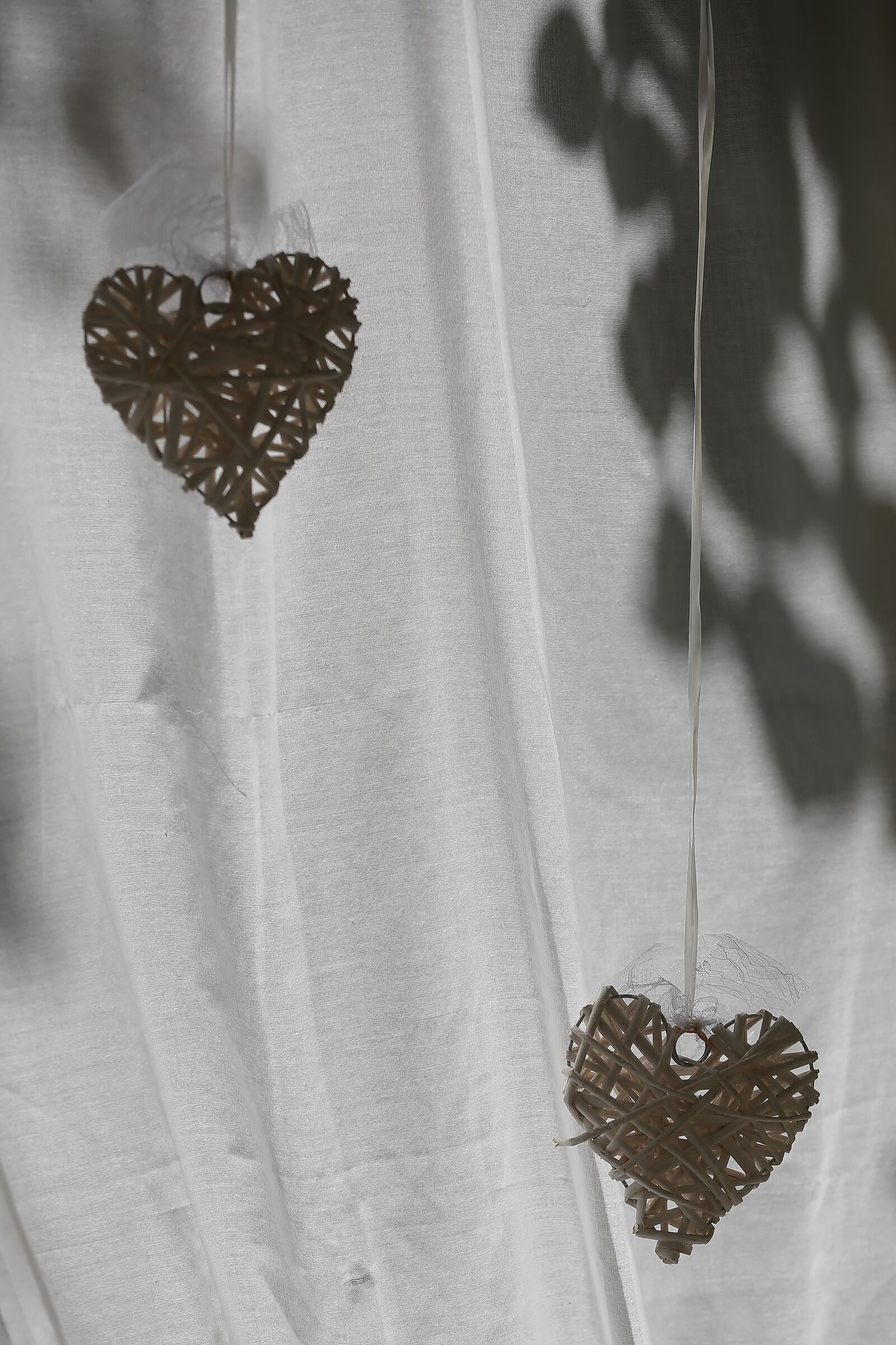 Canon EOS 5D Mark III sample photo. Romance, hearts, valentine s photography
