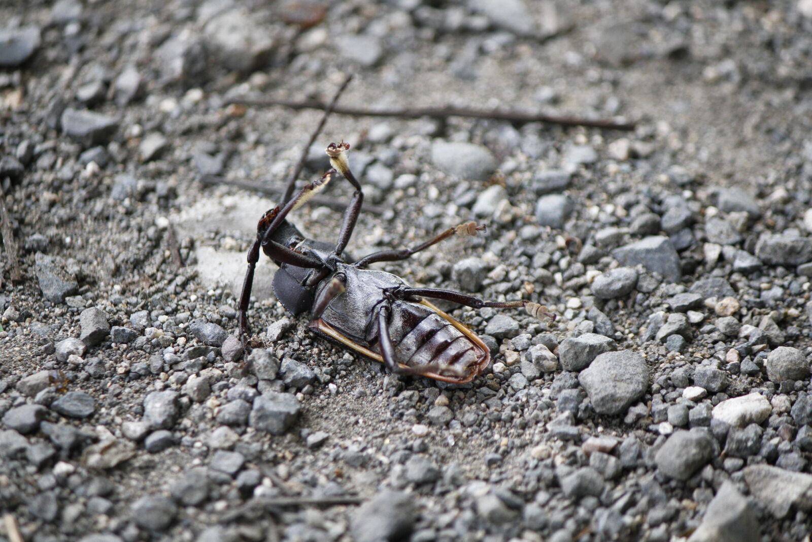 Canon EOS 7D sample photo