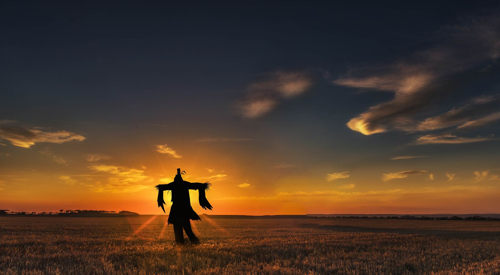 Nikon D750 sample photo. Sunset, field, scarecrow photography