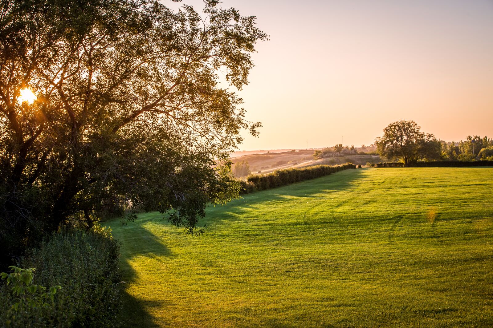 Canon EOS 5D Mark III sample photo. Landscape, sunset, tree photography