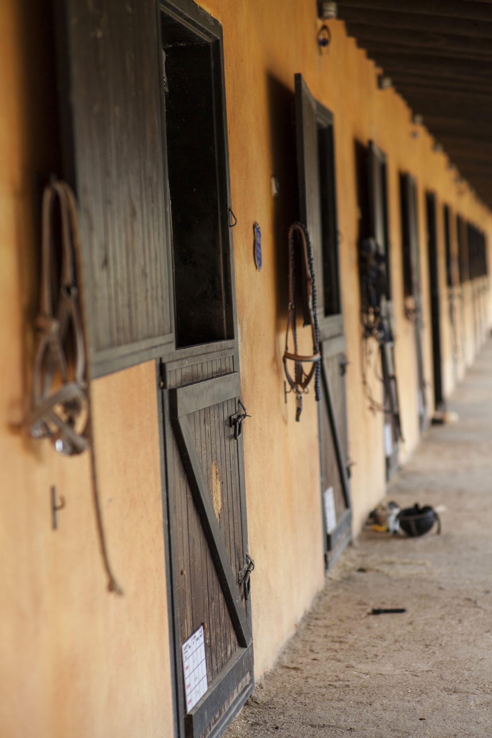 ZEISS Planar T* 85mm F1.4 sample photo. Barn, horse, animal photography