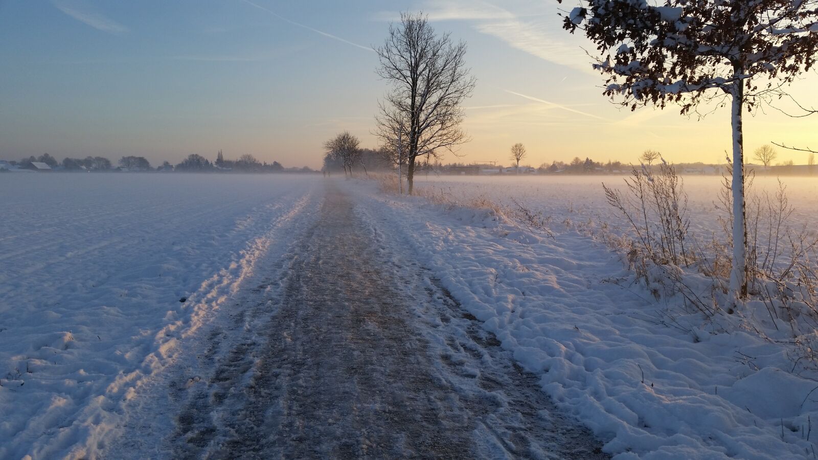 Samsung Galaxy S5 sample photo. Winter, nature, frost photography