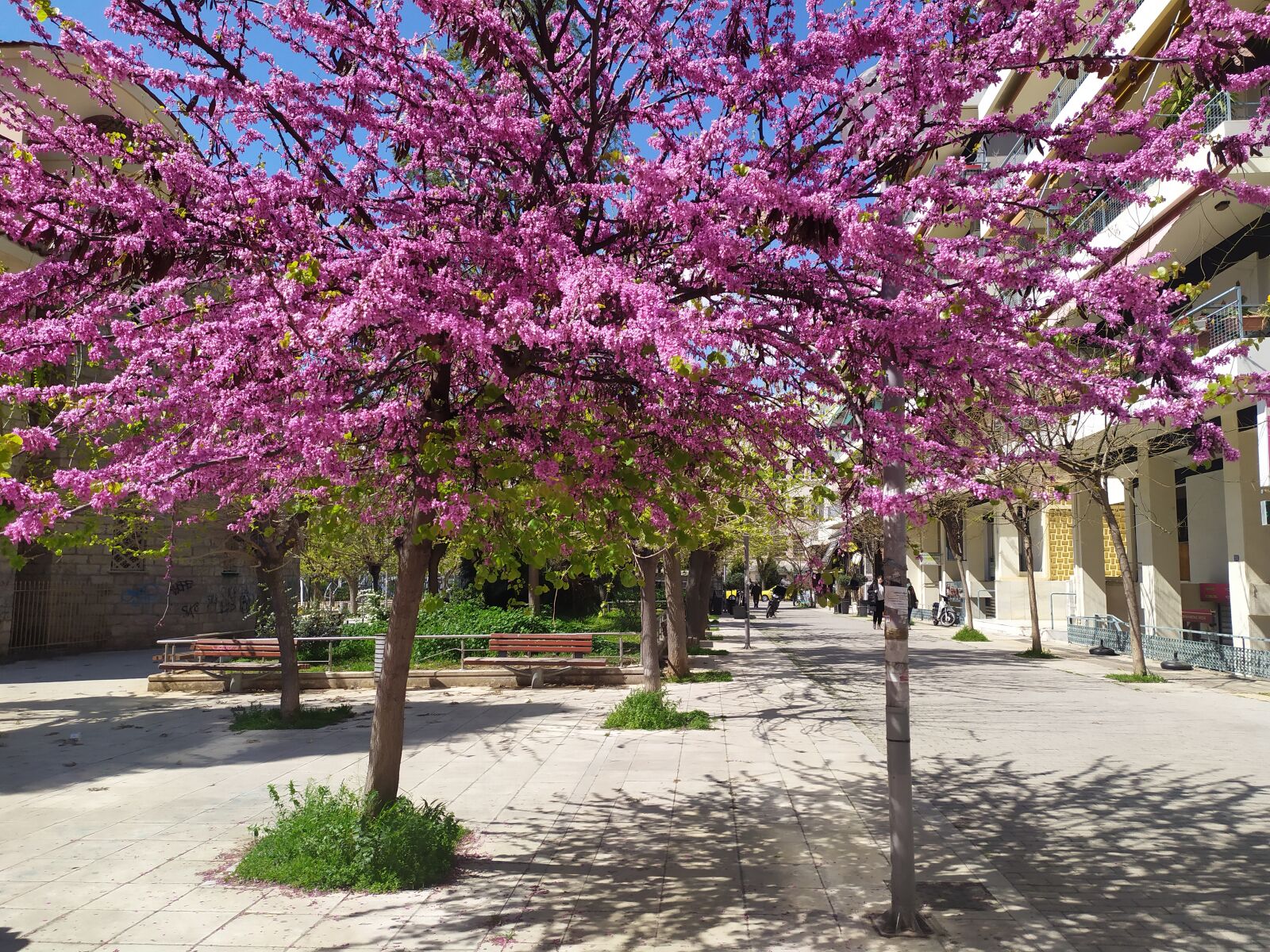 Xiaomi Redmi Note 7 sample photo. Spring, city, athens photography