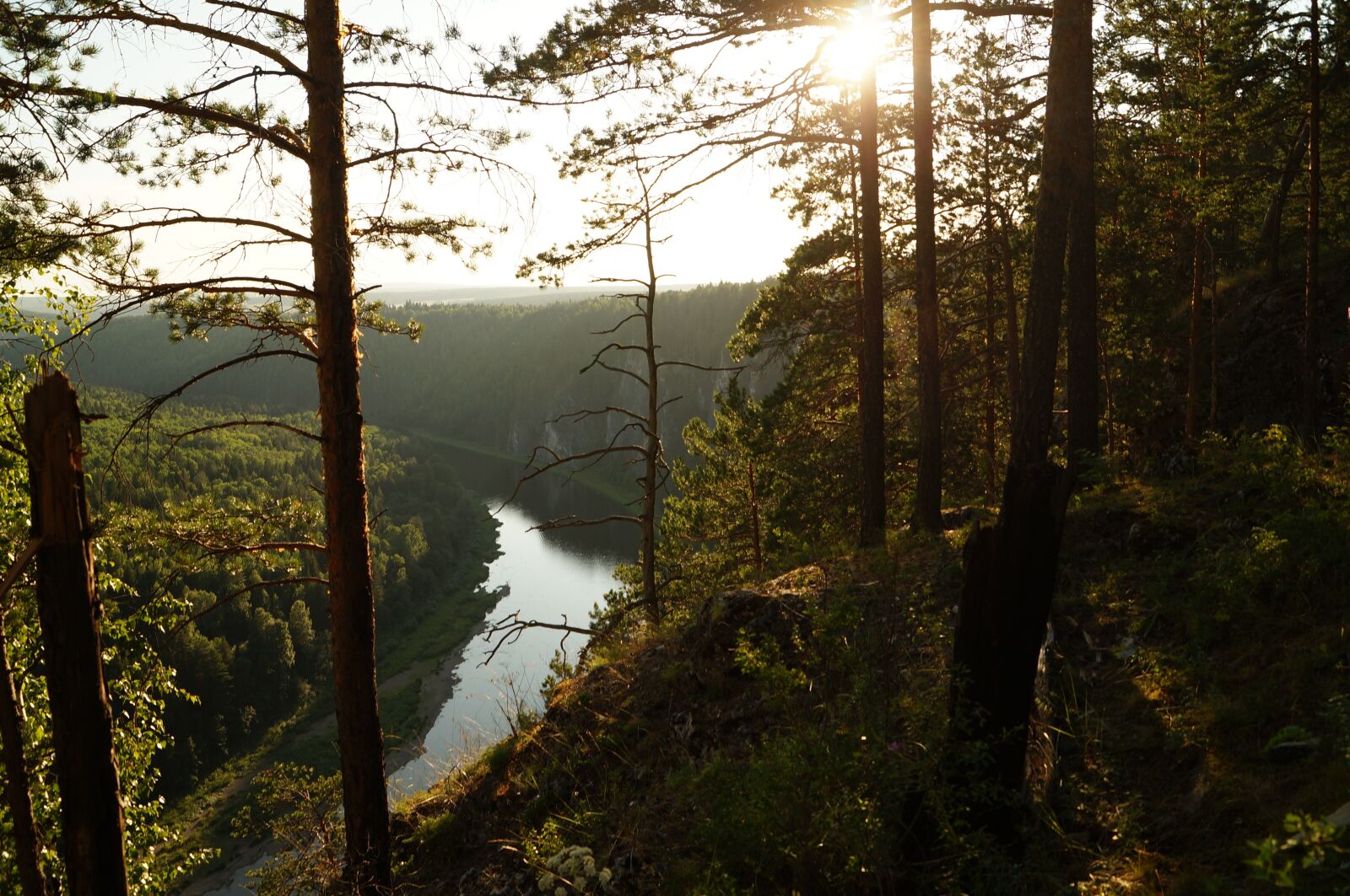 Sony SLT-A57 + Sony DT 18-55mm F3.5-5.6 SAM sample photo. River, forests, trees photography